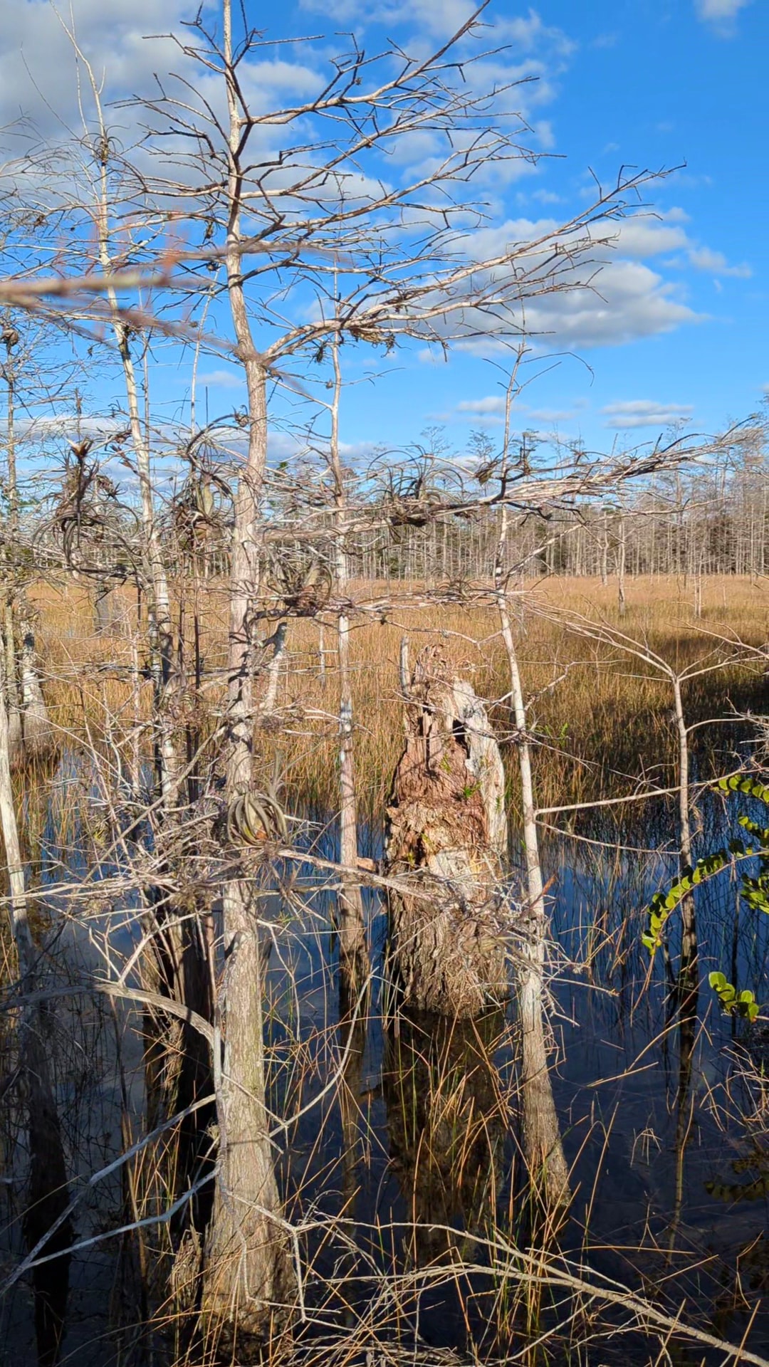 Apoxee Trail - West Palm Beach, FL