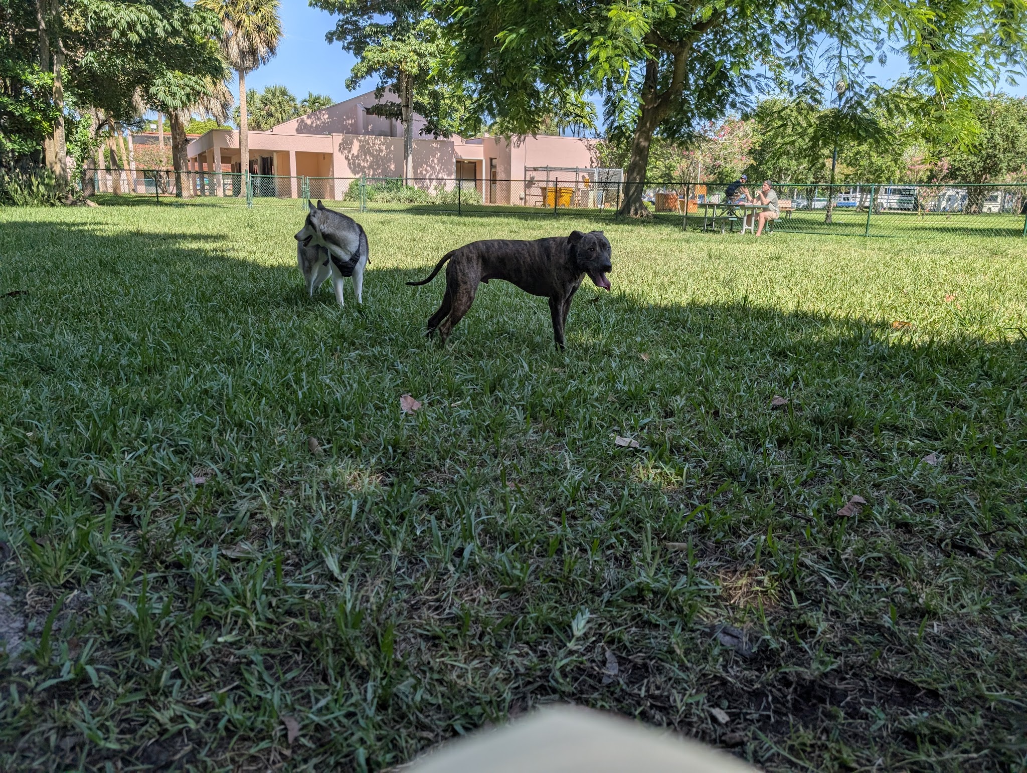 City Paws Dog Park - West Palm Beach, FL