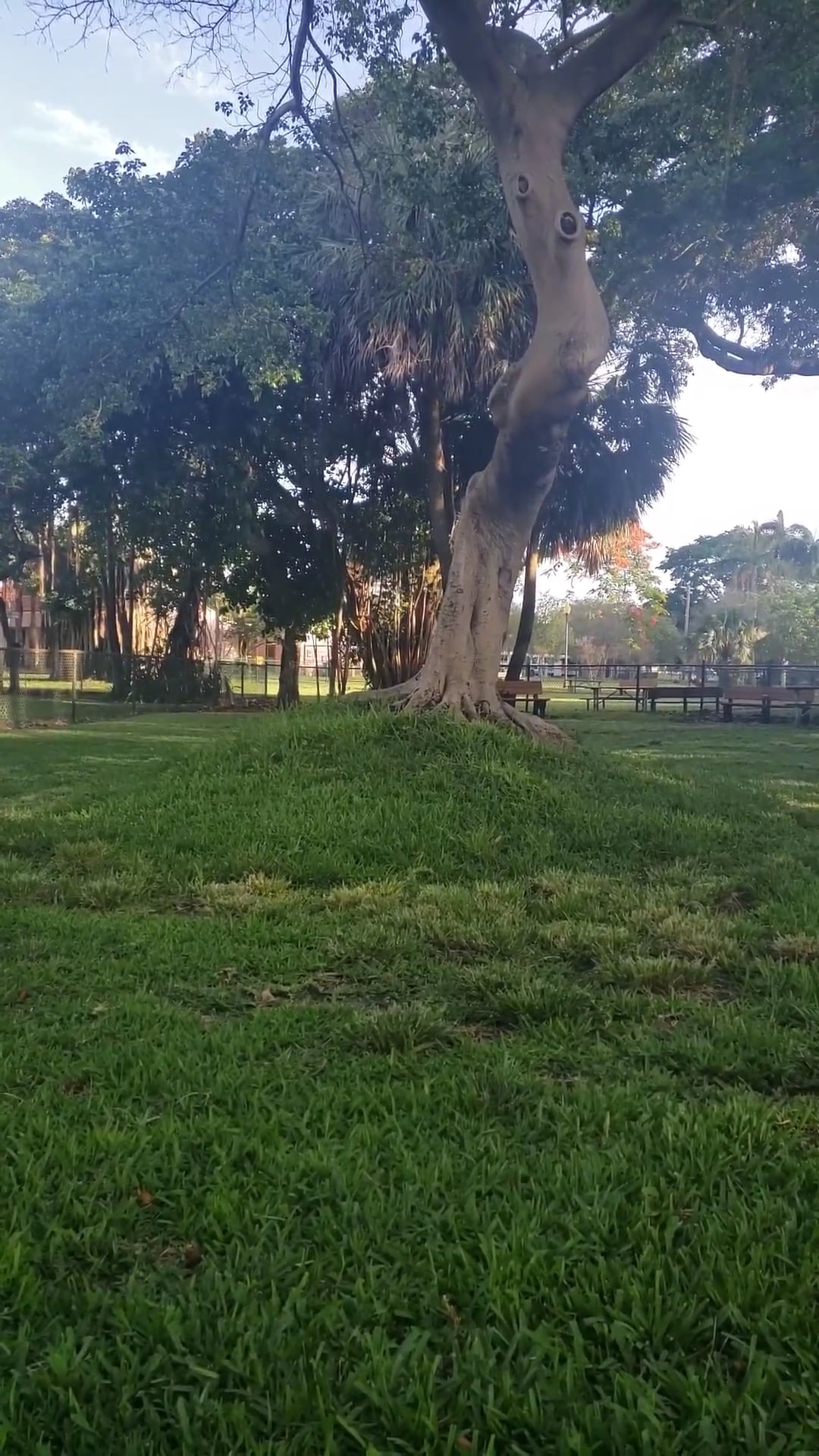 City Paws Dog Park - West Palm Beach, FL