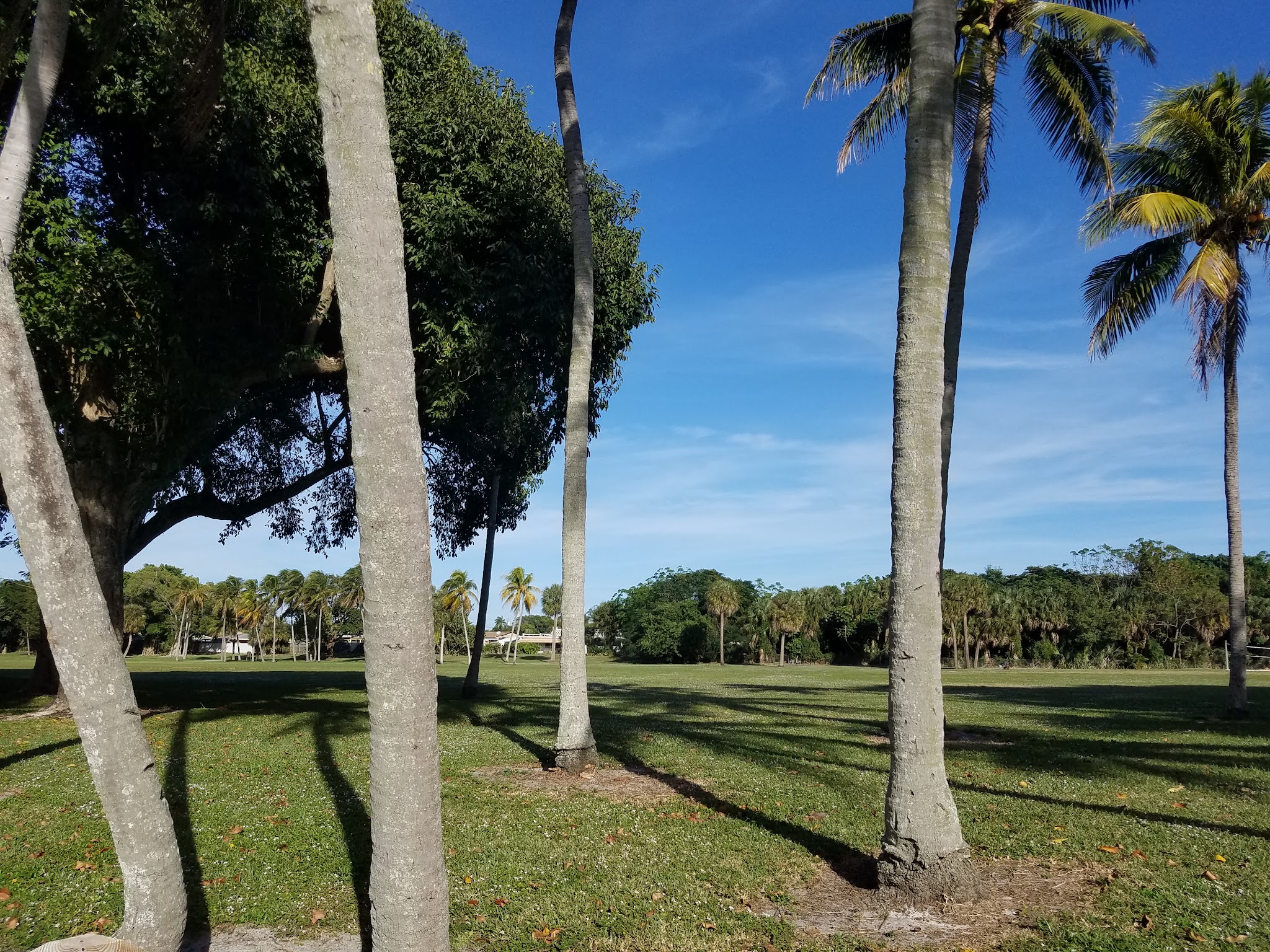 Dreher Dog Park - West Palm Beach, FL