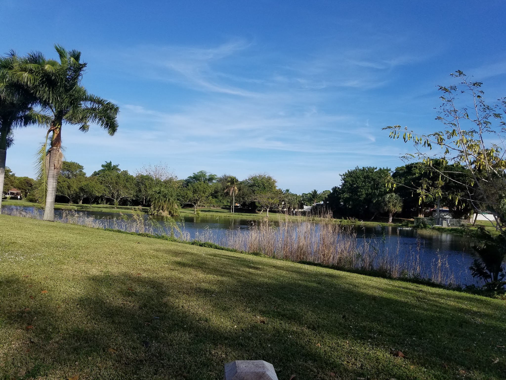 Dreher Dog Park - West Palm Beach, FL