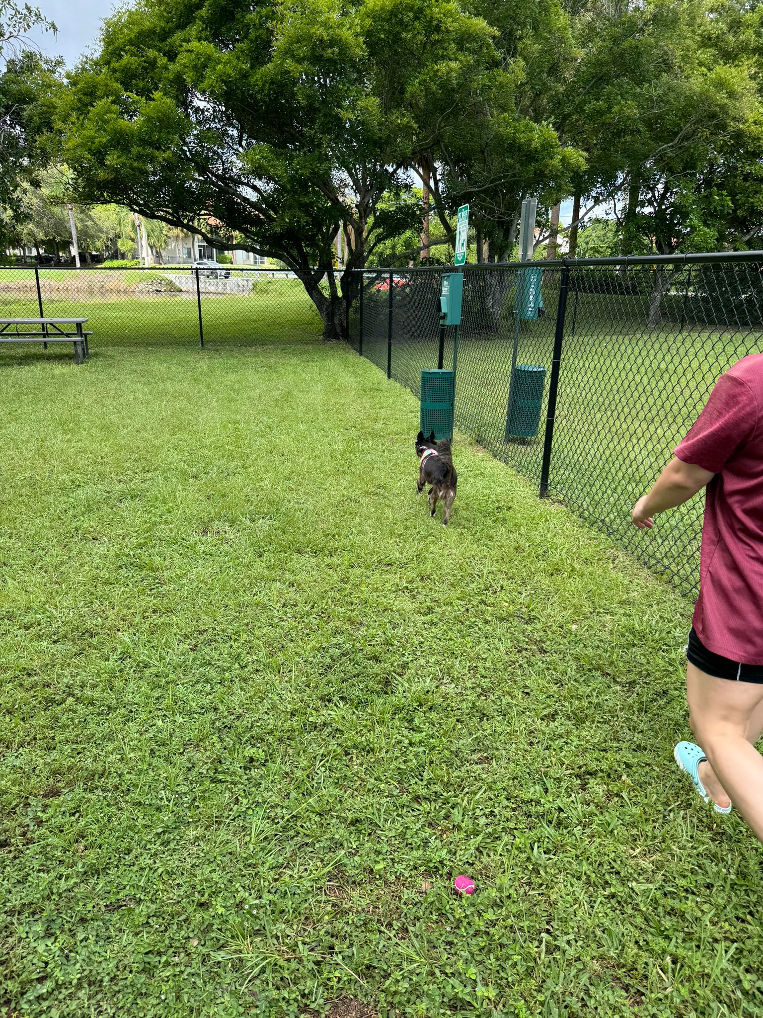 HeavenlyDogPark - West Palm Beach, FL