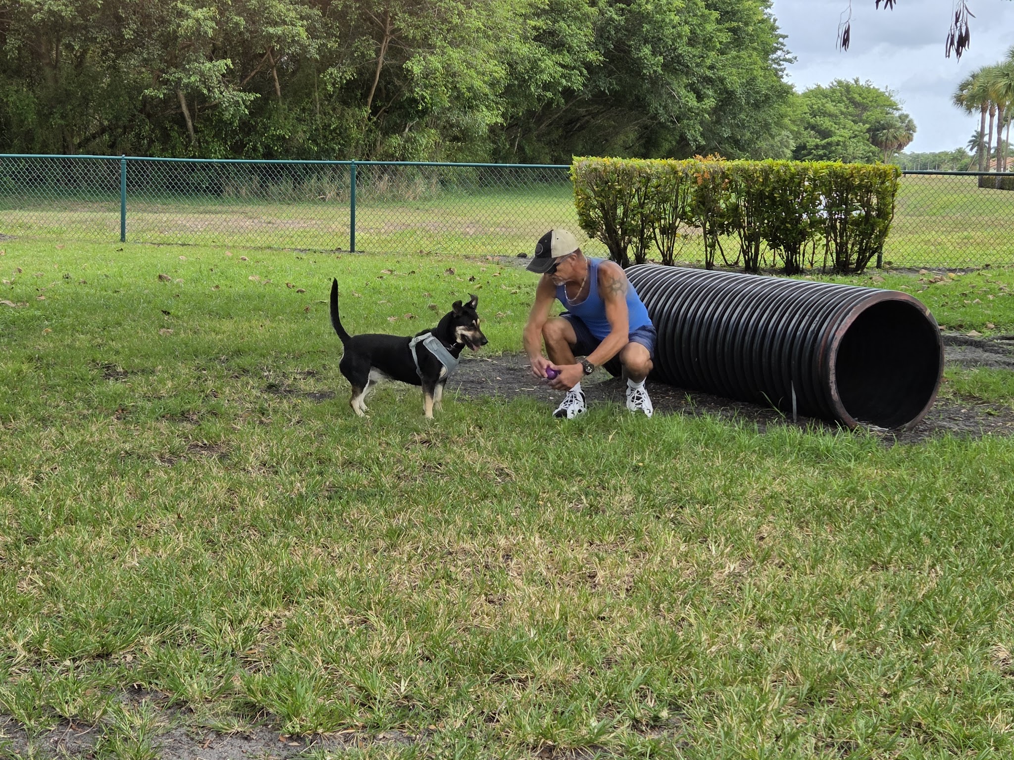 Village Paws Park - West Palm Beach, FL