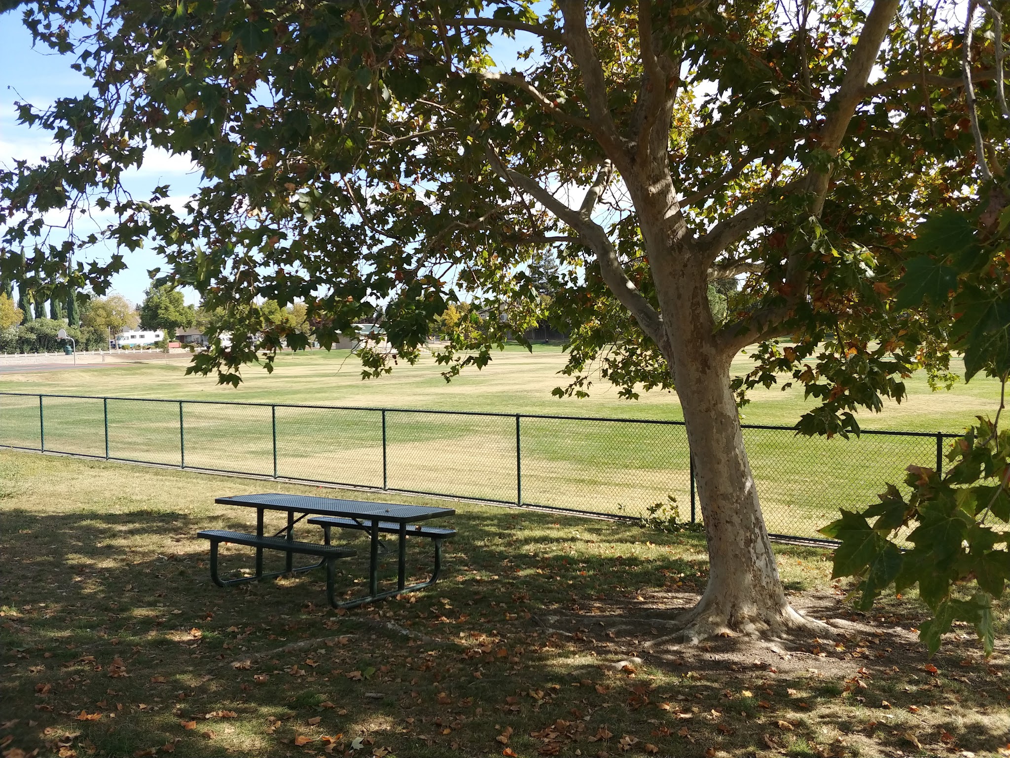 Summerfield Dog Park - West Sacramento, CA