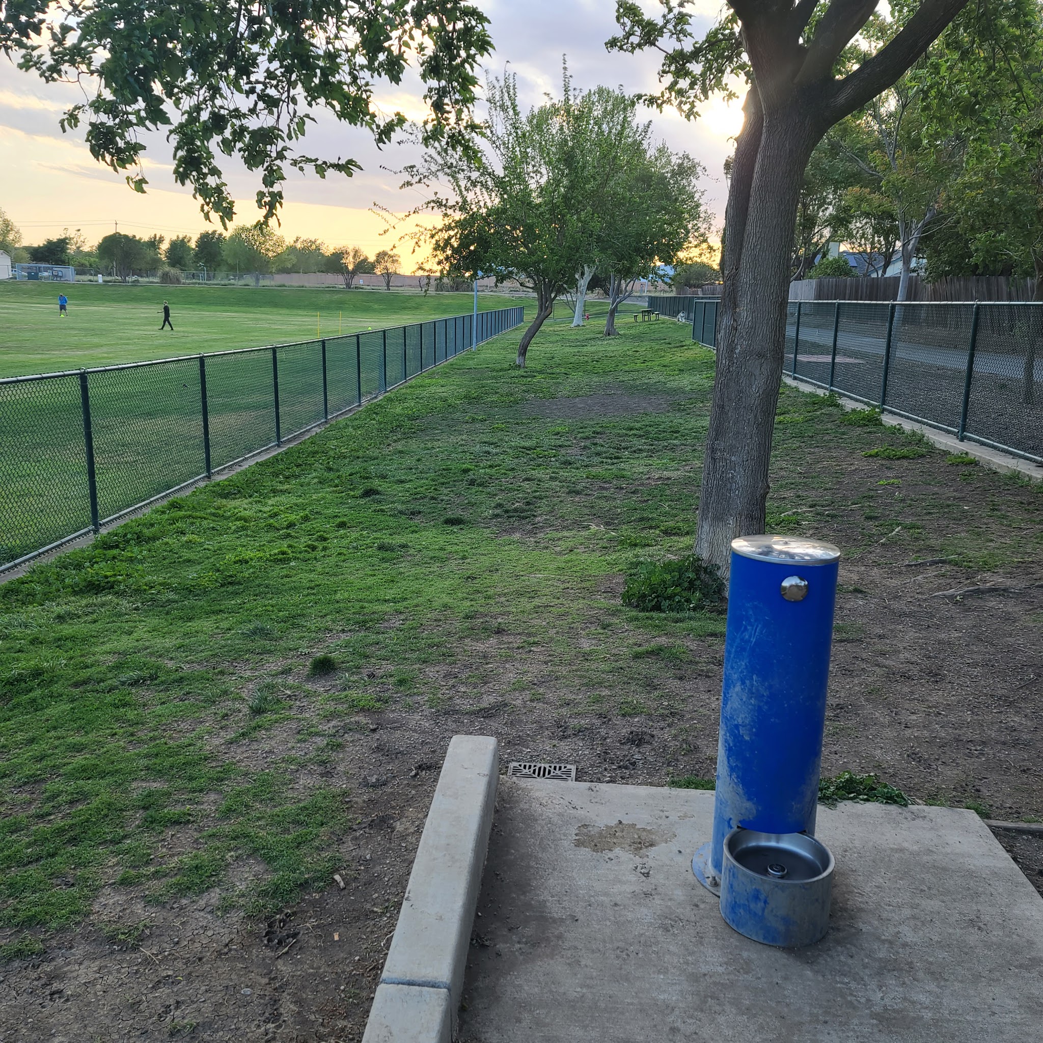 Summerfield Dog Park - West Sacramento, CA