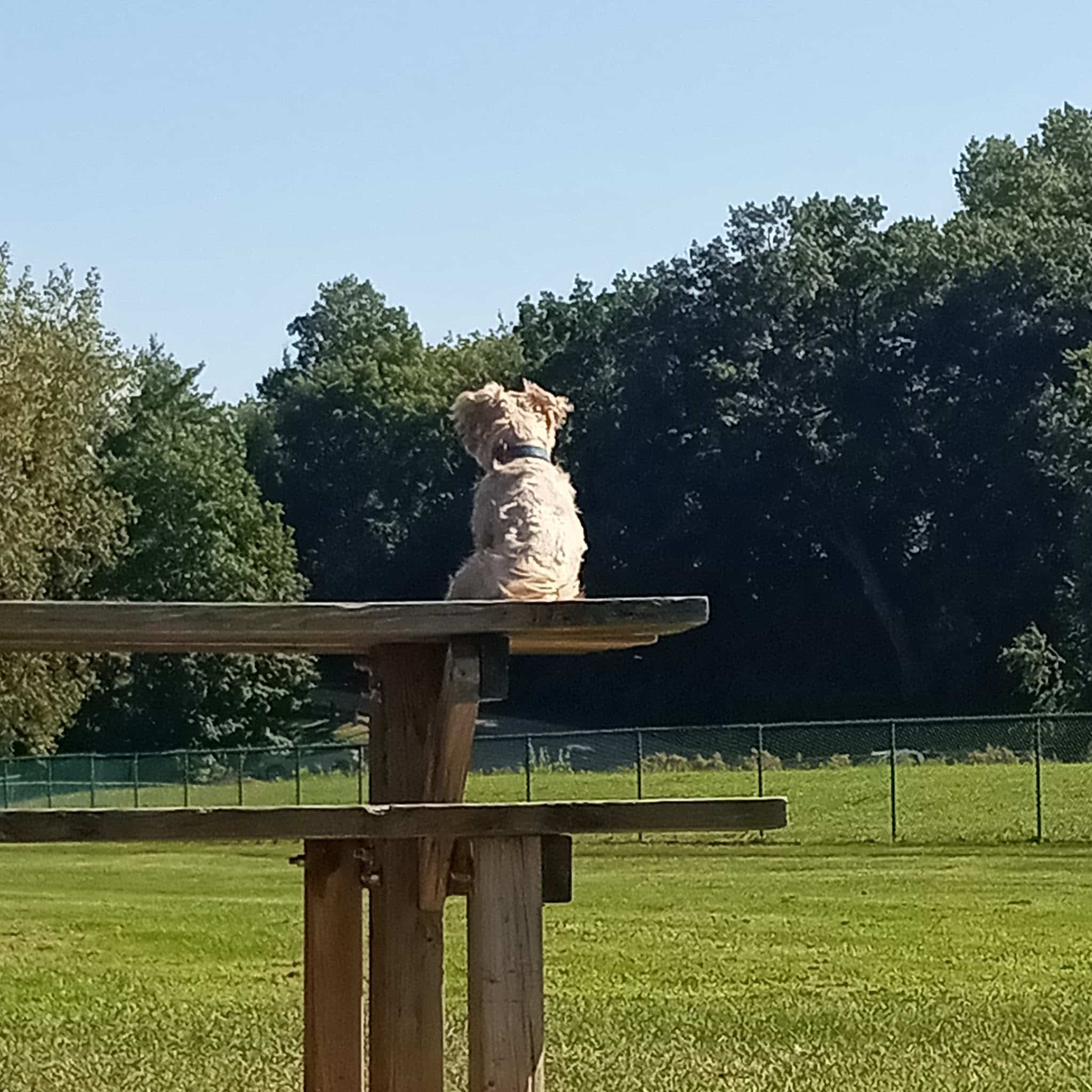 Caryn Modawell Memorial Dog Park - West Salem, WI