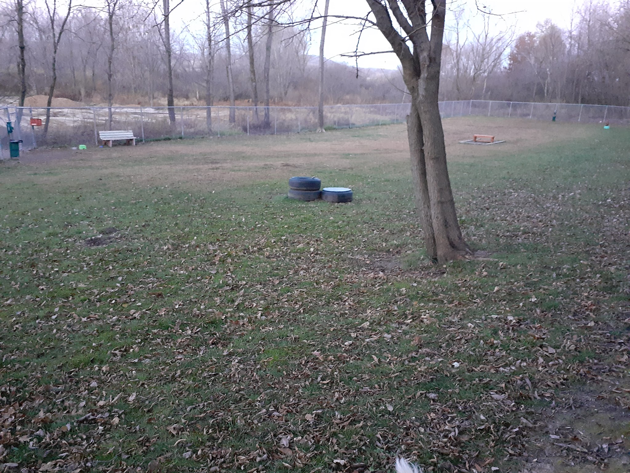 Caryn Modawell Memorial Dog Park - West Salem, WI