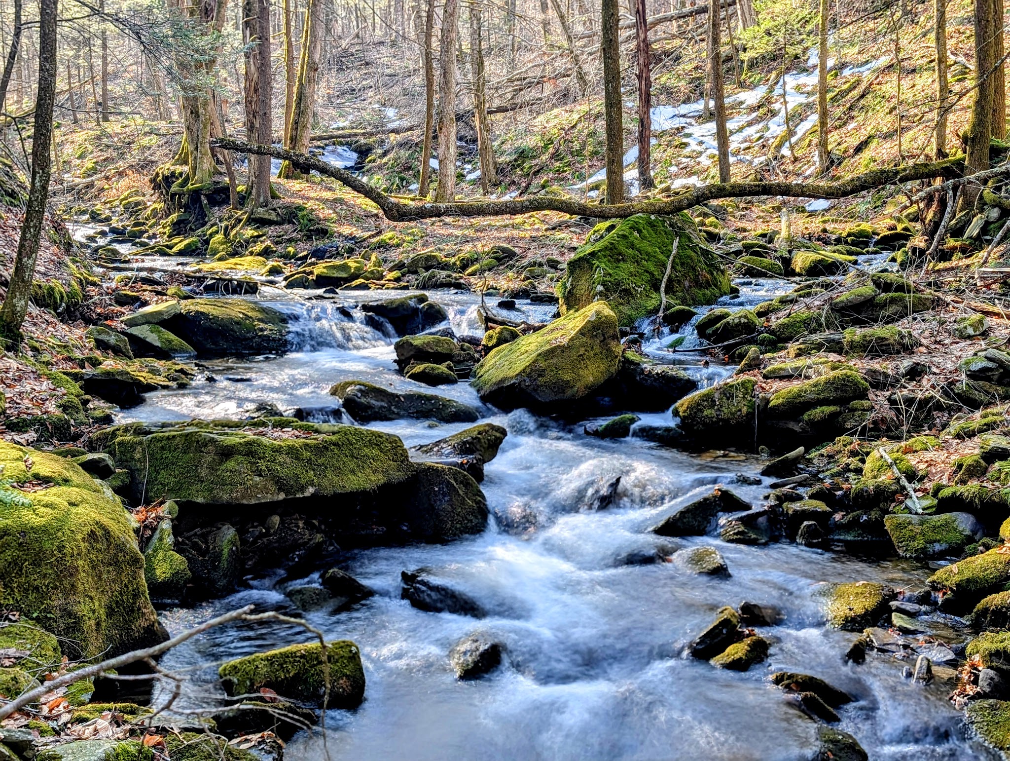 Ashokan High Point Trailhead - West Shokan, NY