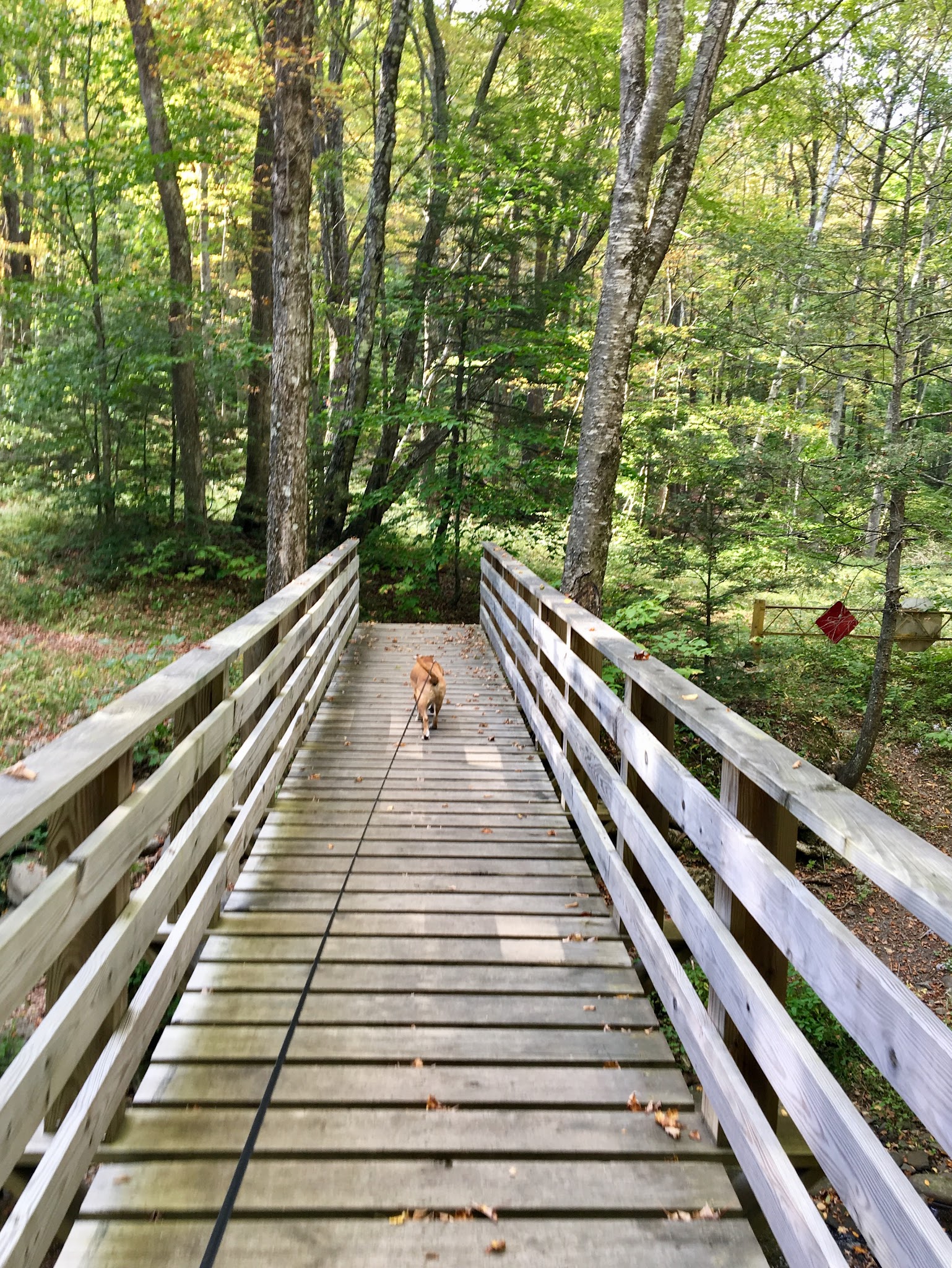 Ashokan High Point Trailhead - West Shokan, NY