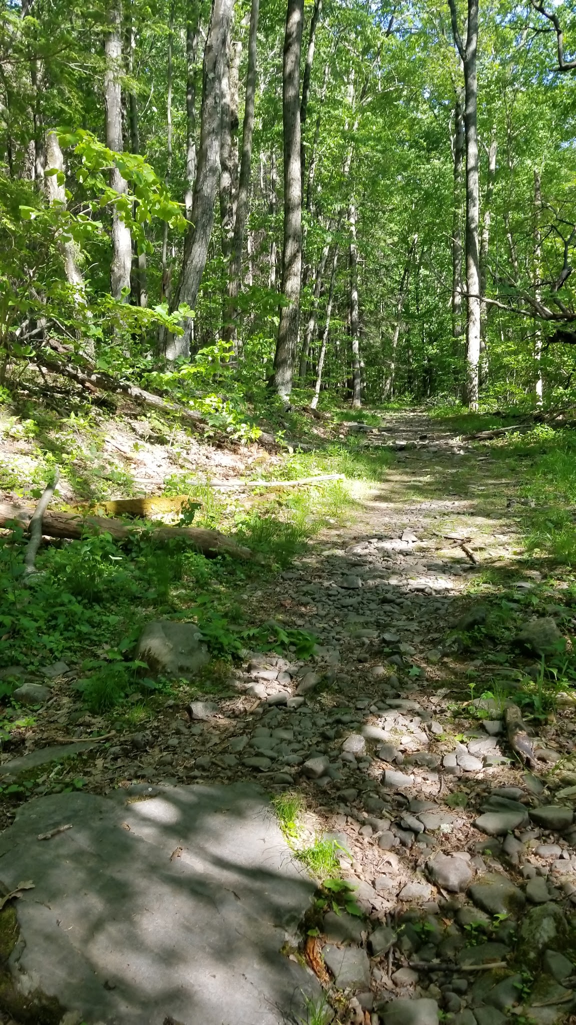 Ashokan High Point Trailhead - West Shokan, NY