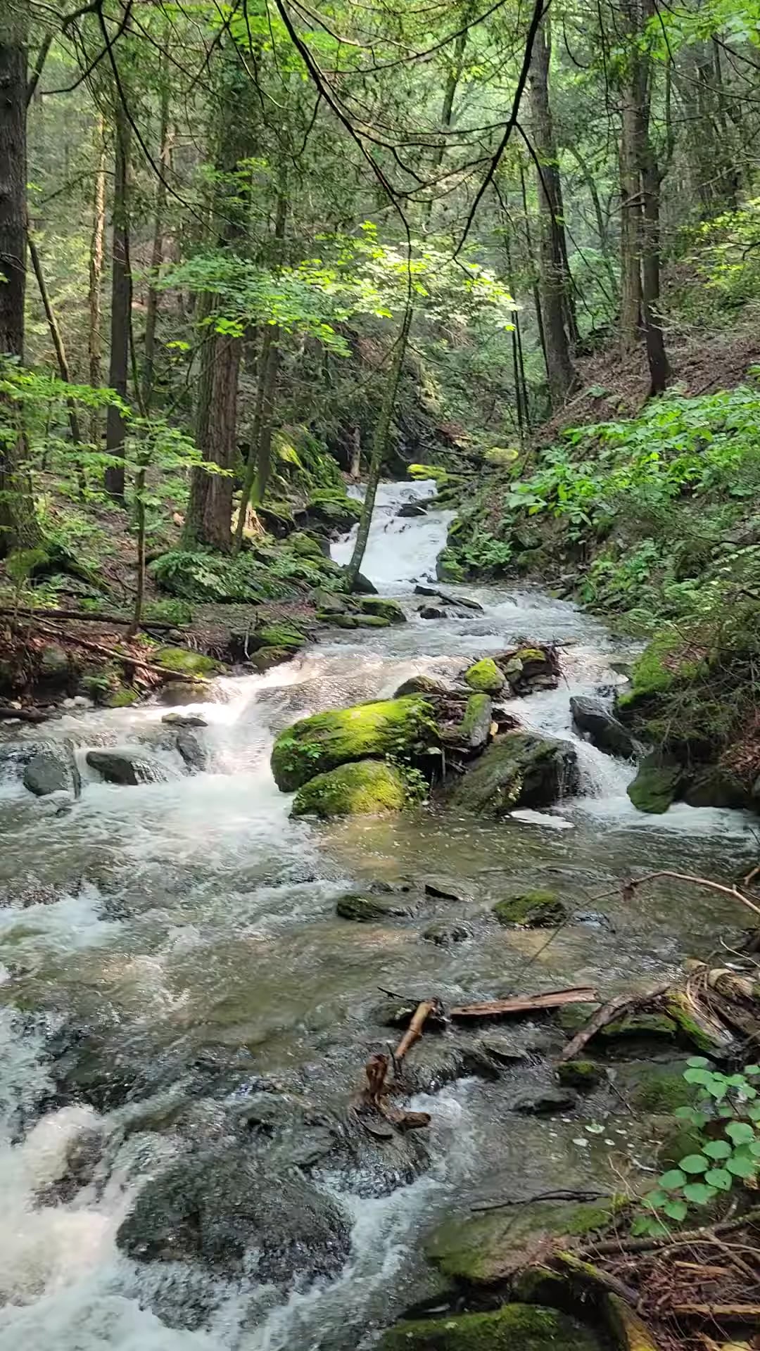 Stevens Glen Trail Head Richmond, MA - West Stockbridge, MA