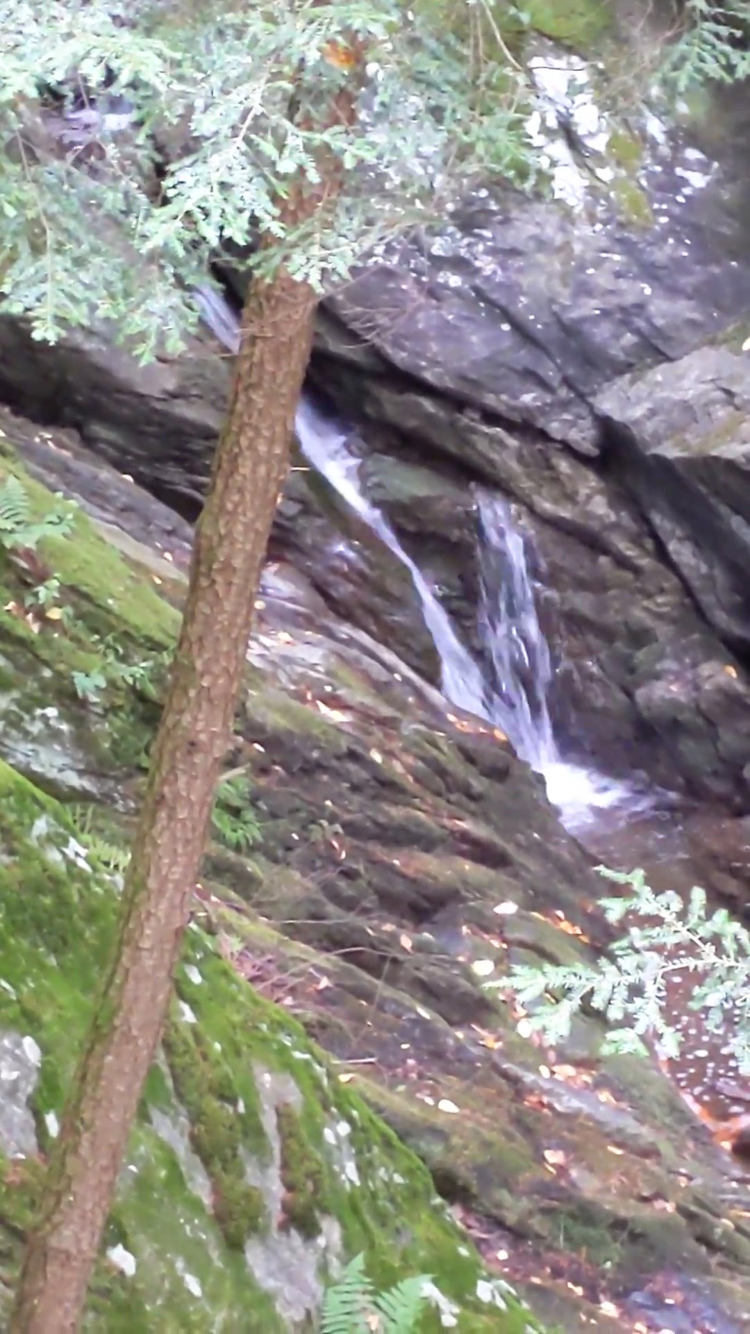Stevens Glen Trail Head Richmond, MA - West Stockbridge, MA