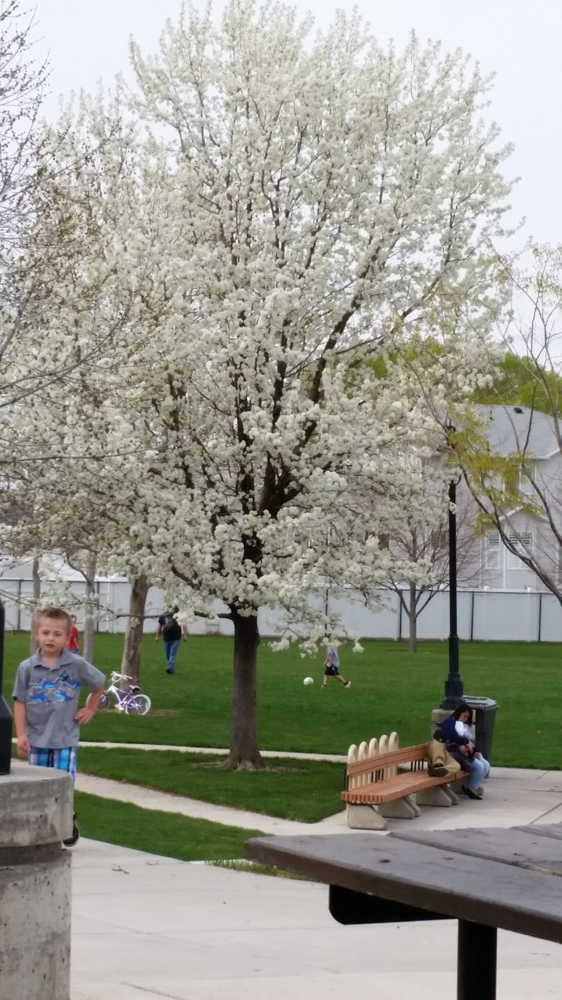 Fassio Farm Park - West Valley City, UT