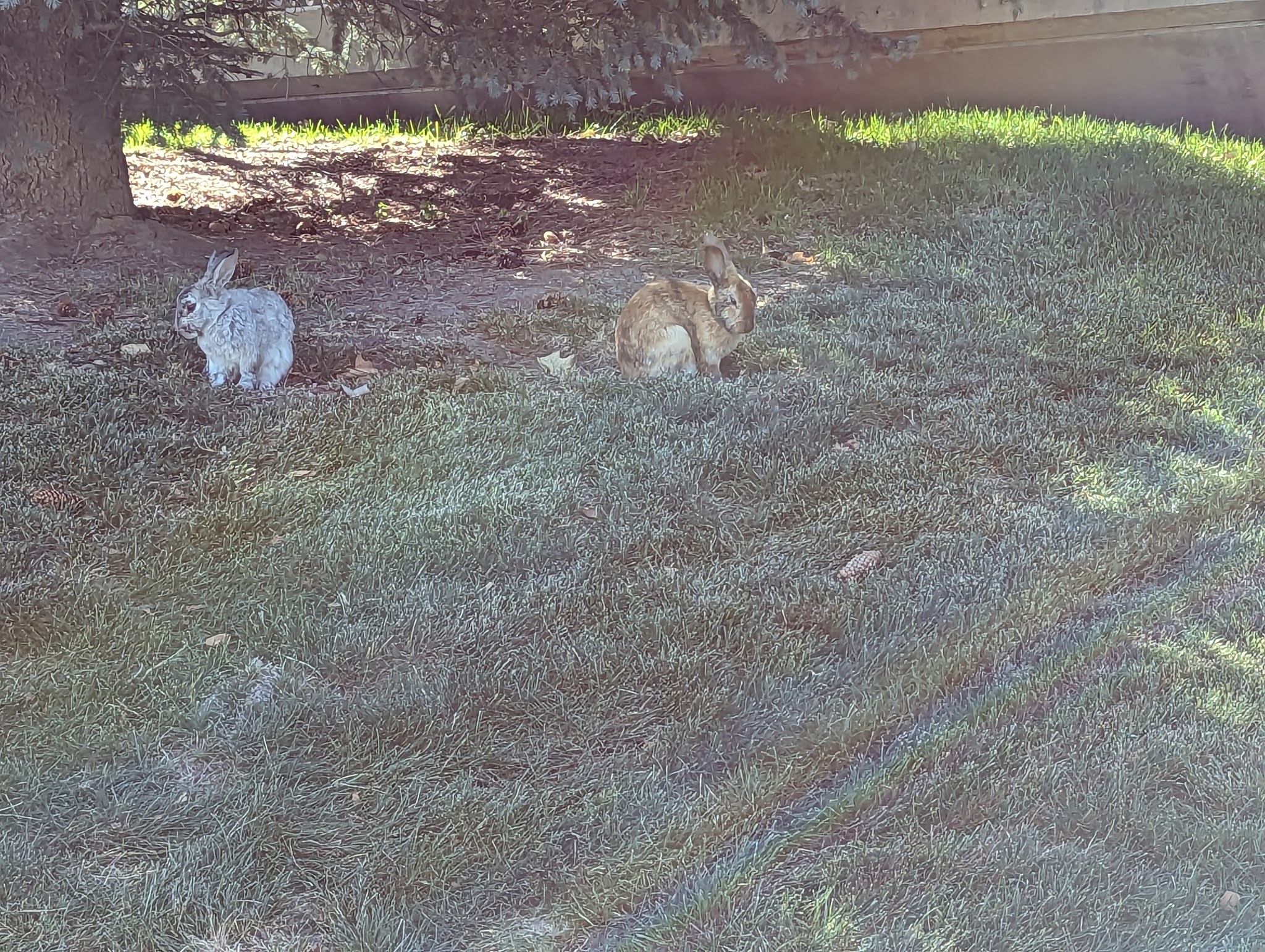 Scottsdale Park - West Valley City, UT