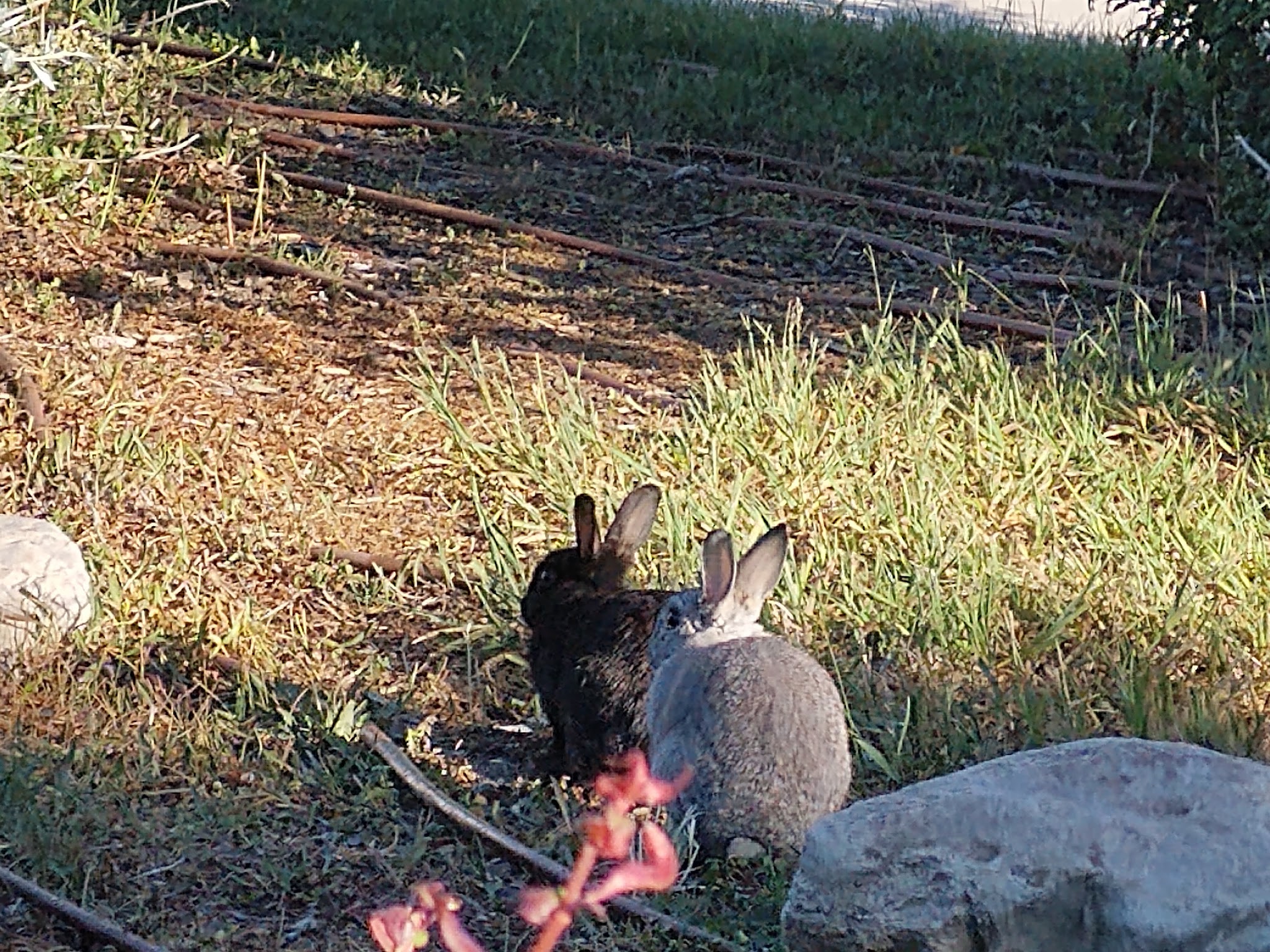 Scottsdale Park - West Valley City, UT