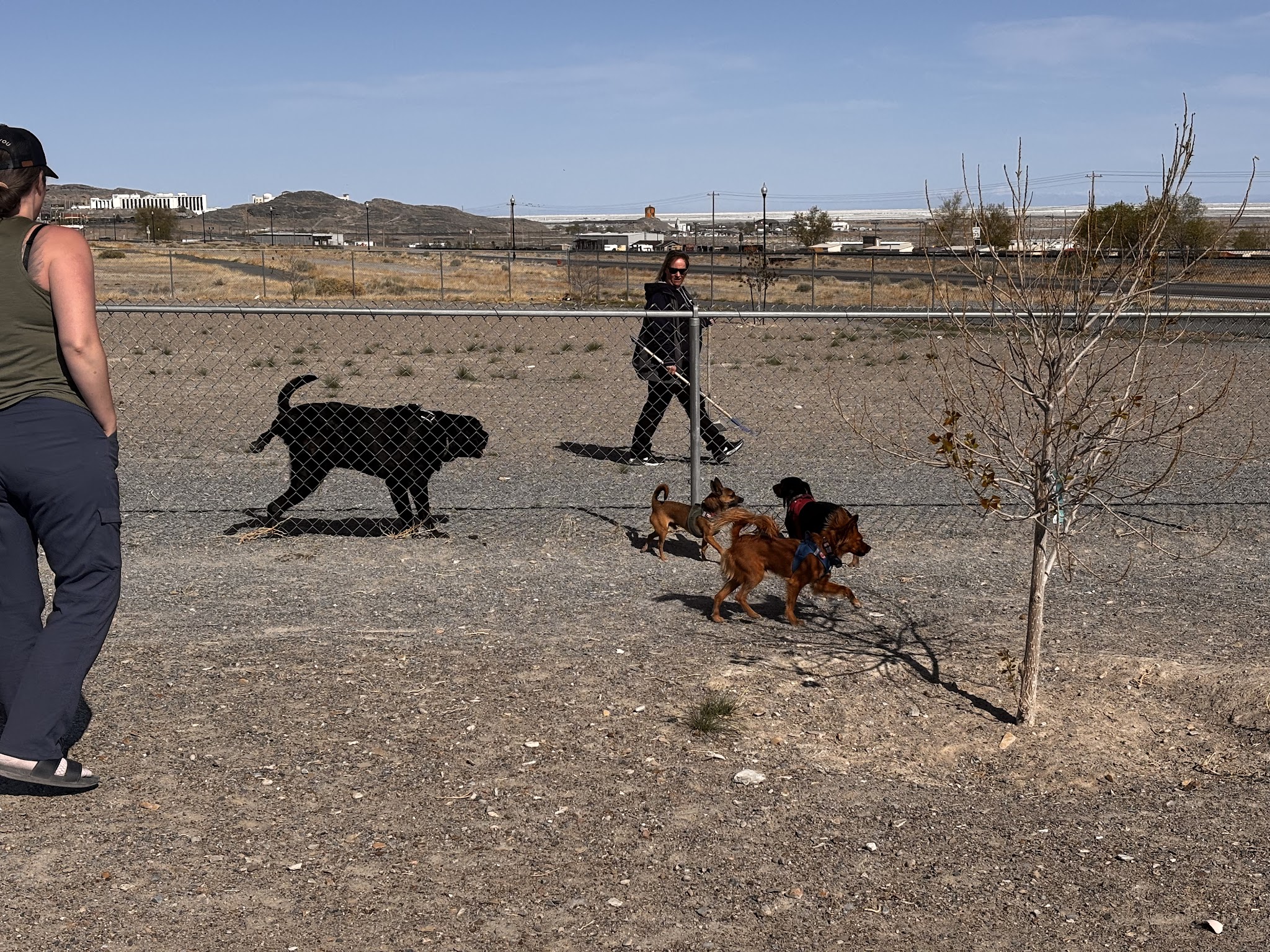 West Wendover Dog Park - West Wendover, NV