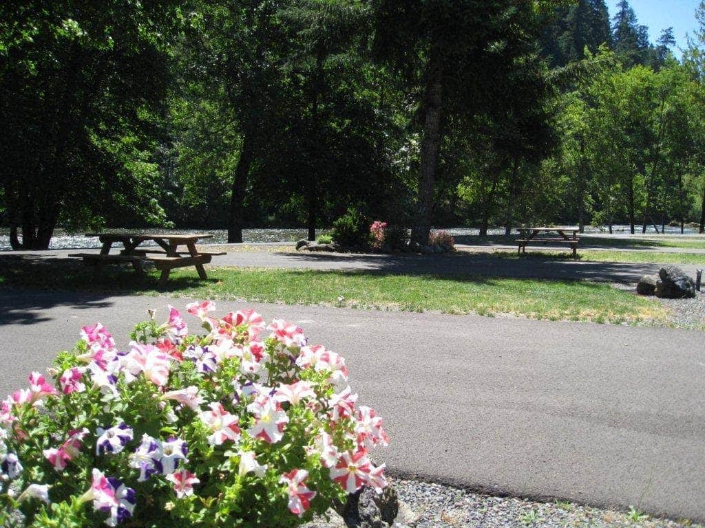 Casey's Riverside RV Park - Westfir, OR