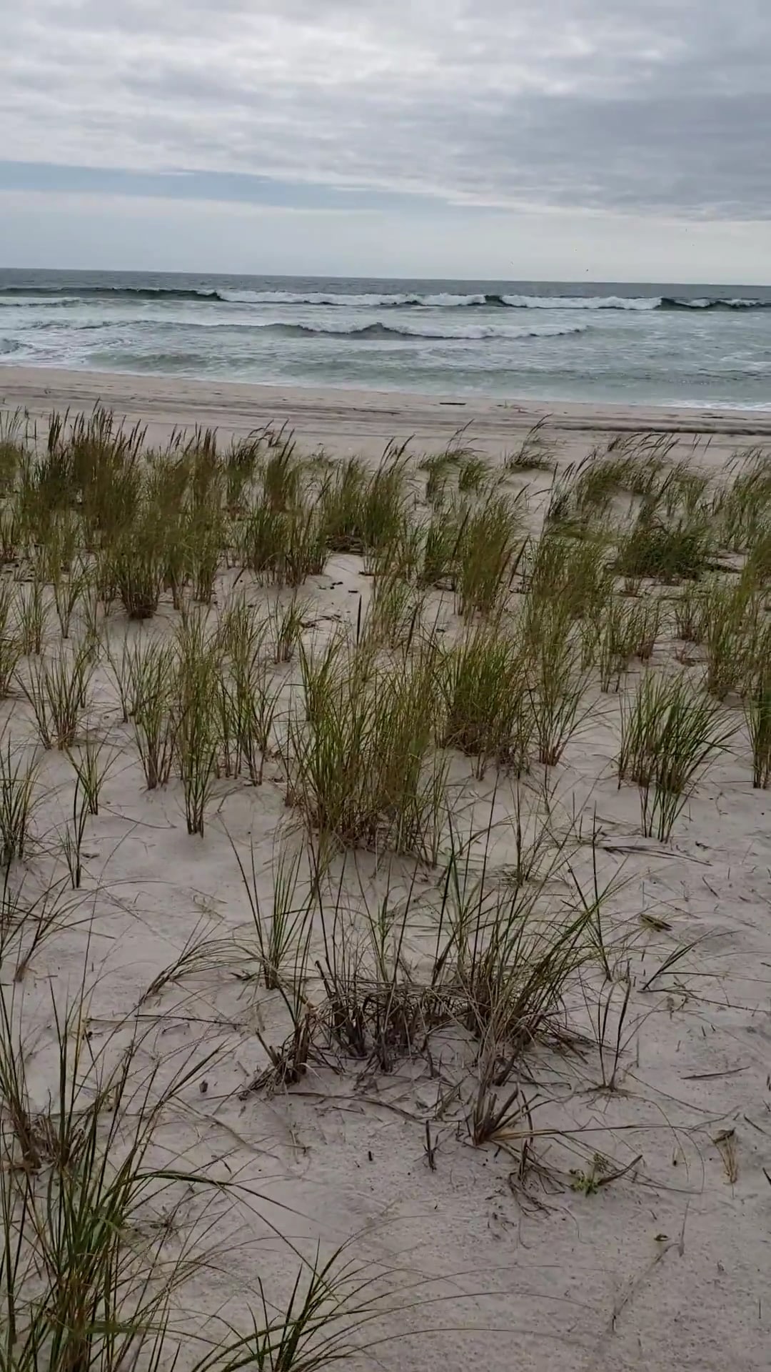 Pike's Beach - Westhampton Beach, NY