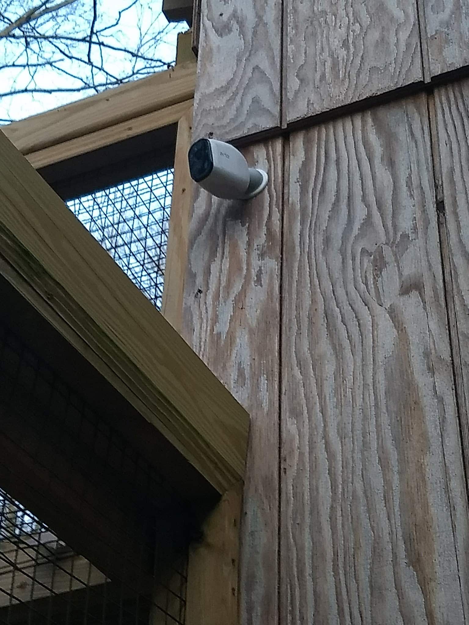 Freeborn Trail, Aspectuck Land Trust - Weston, CT