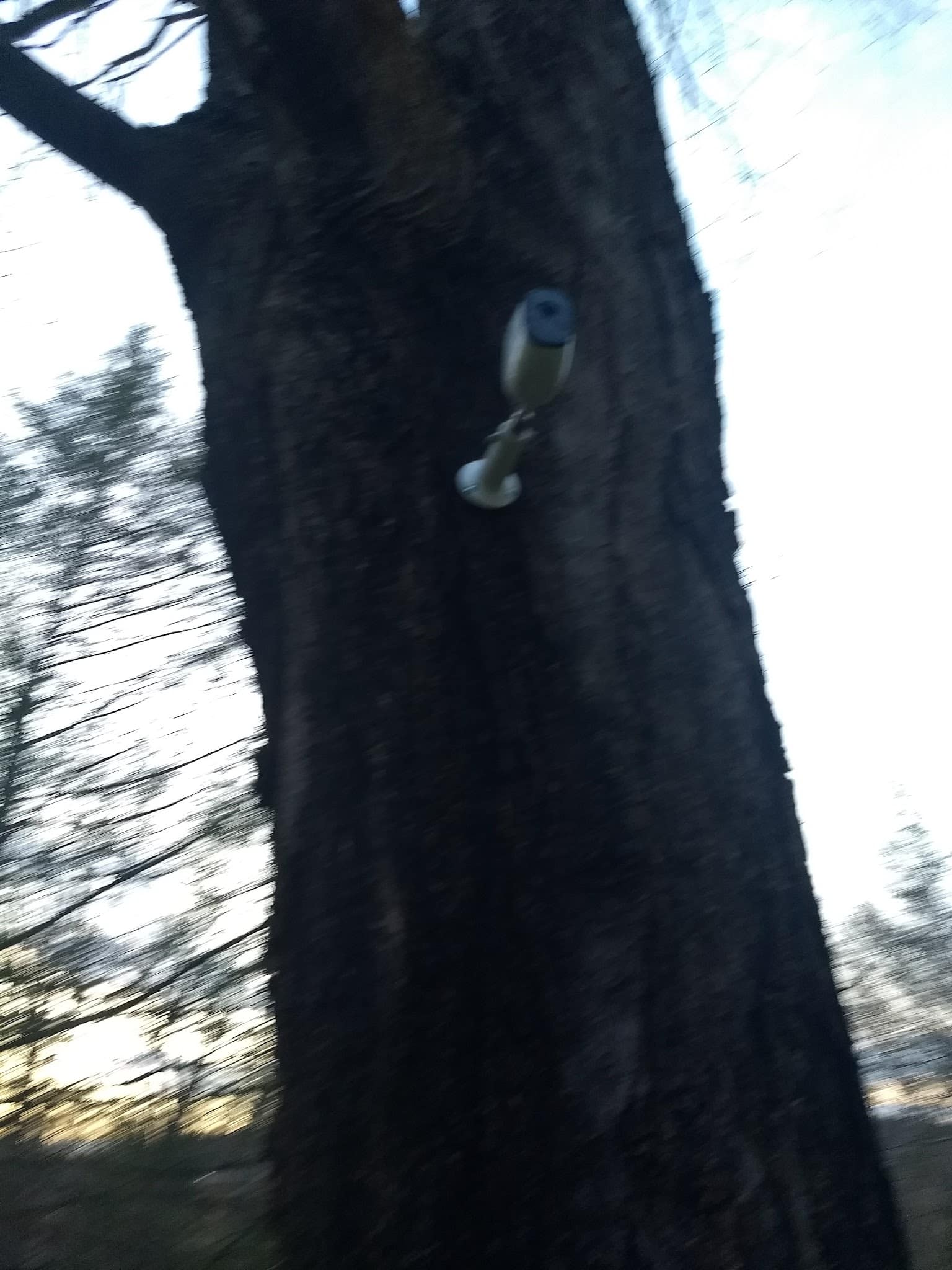 Freeborn Trail, Aspectuck Land Trust - Weston, CT