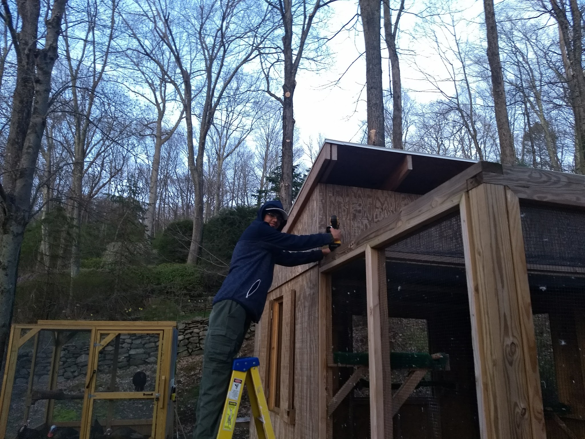 Freeborn Trail, Aspectuck Land Trust - Weston, CT