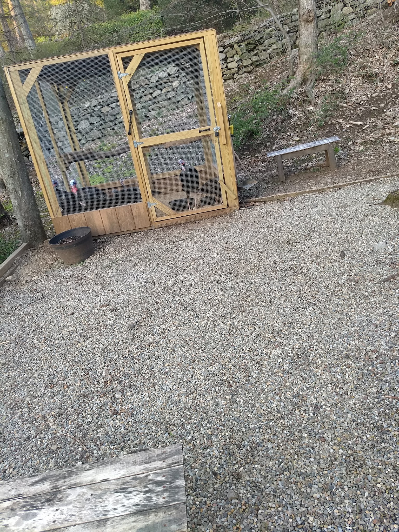 Freeborn Trail, Aspectuck Land Trust - Weston, CT