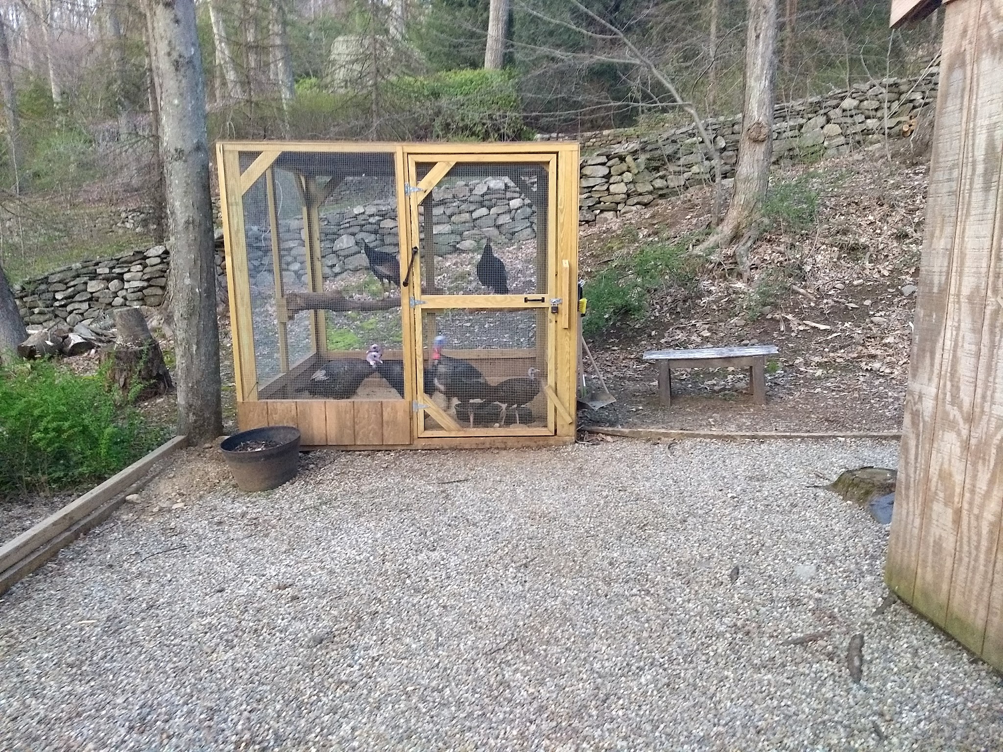 Freeborn Trail, Aspectuck Land Trust - Weston, CT