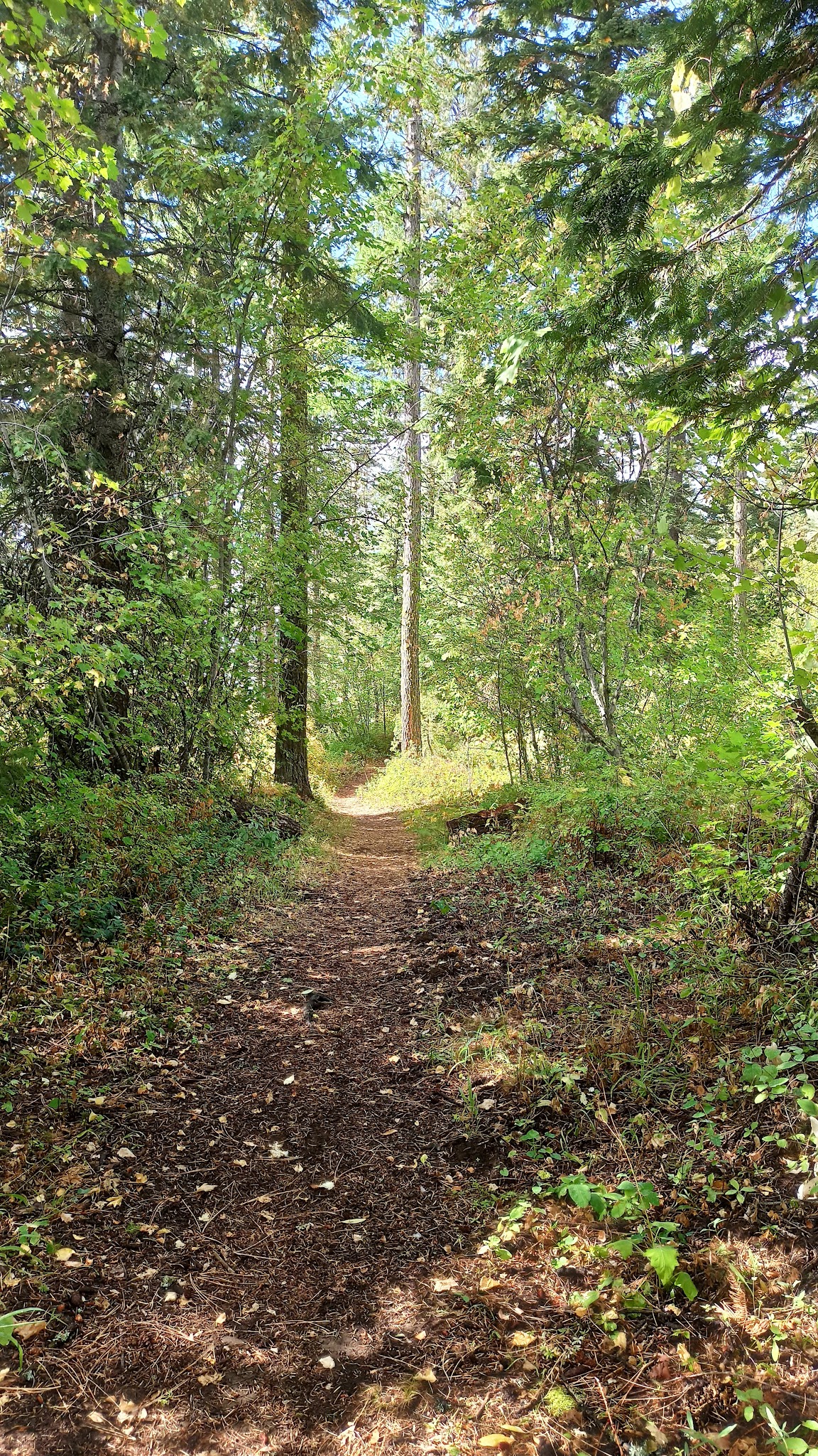Zig Zag Springs Trailhead - Weston, OR