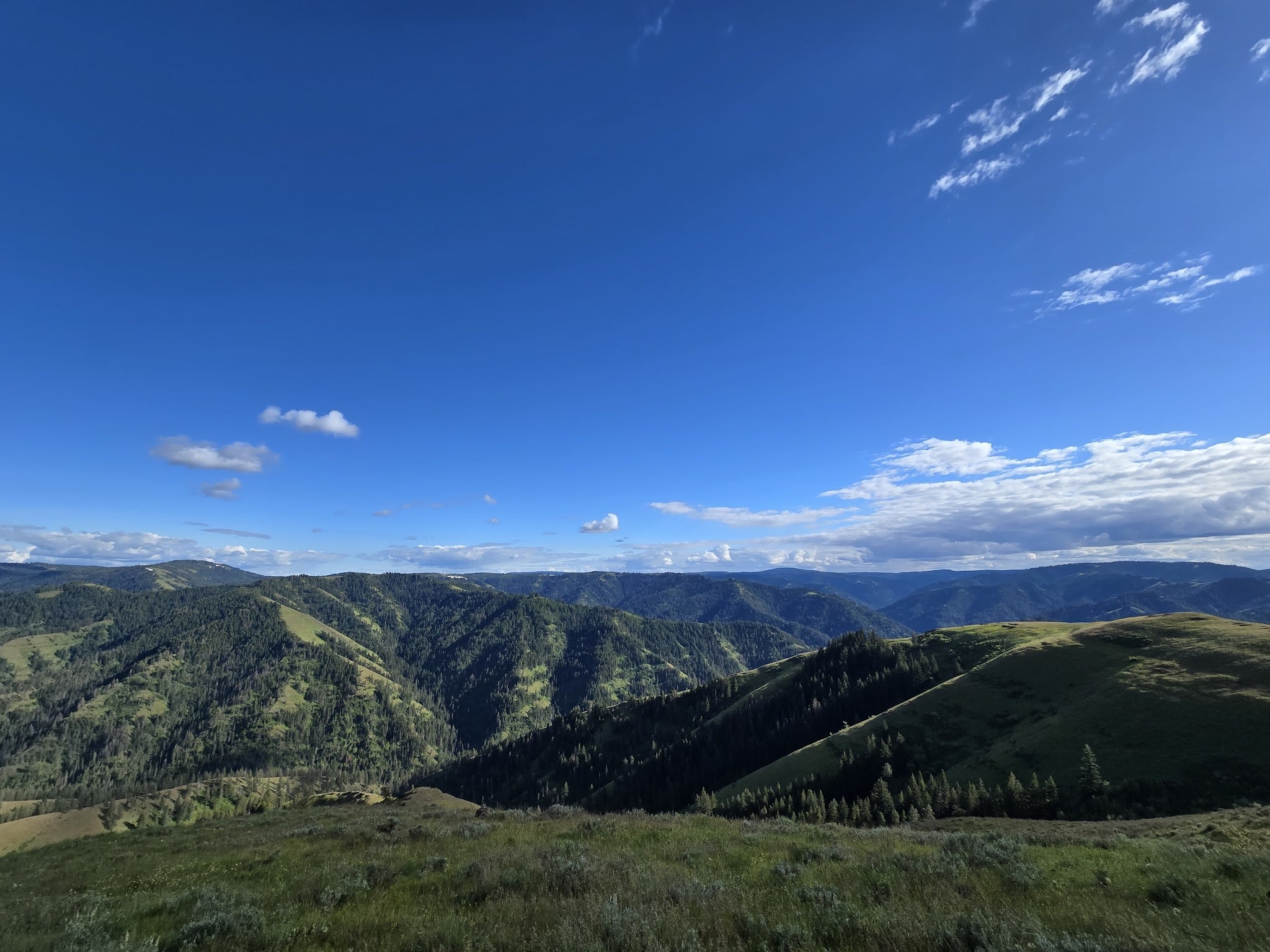 Zig Zag Springs Trailhead - Weston, OR