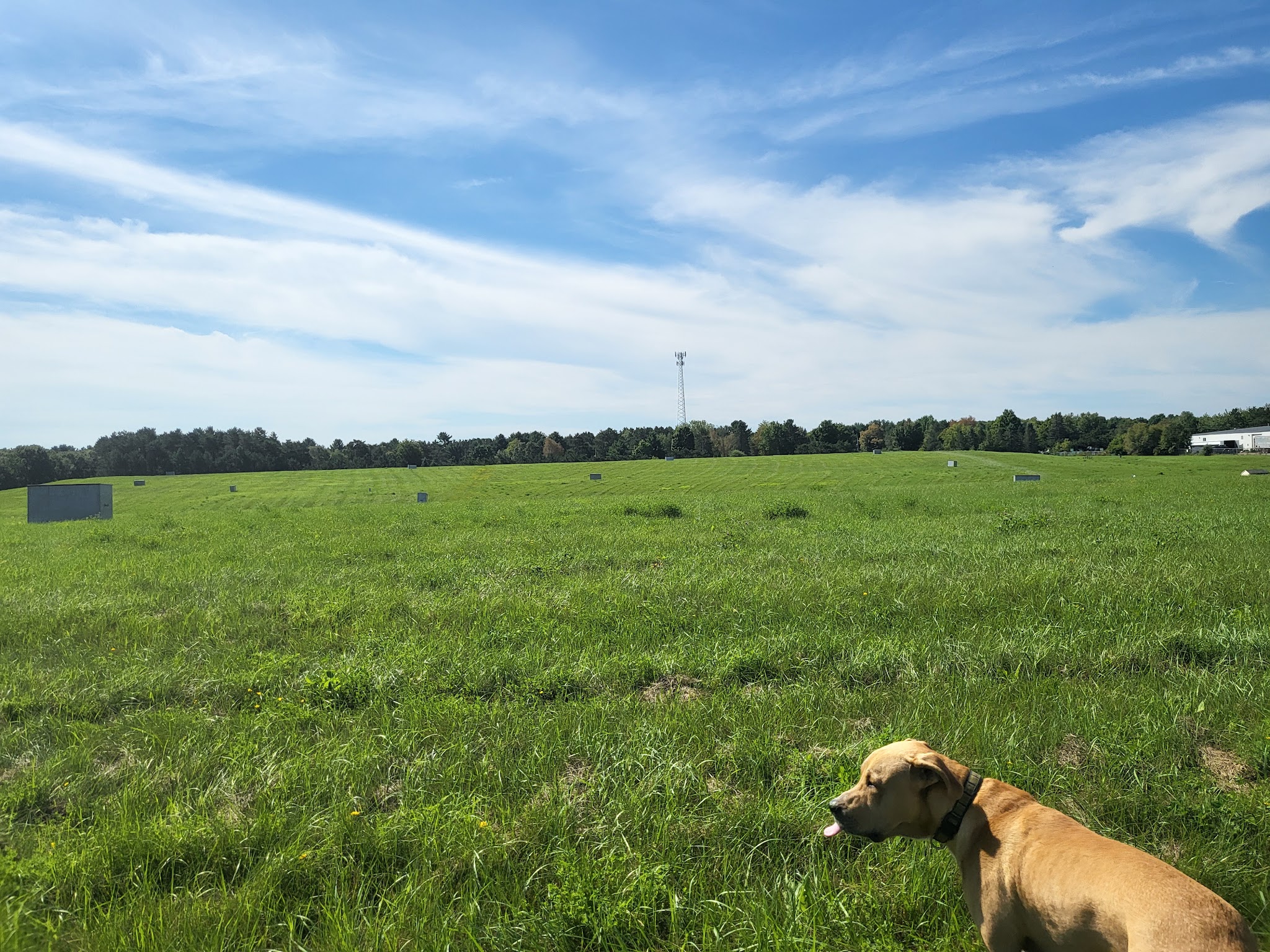Weston Dog Park - Weston, WI