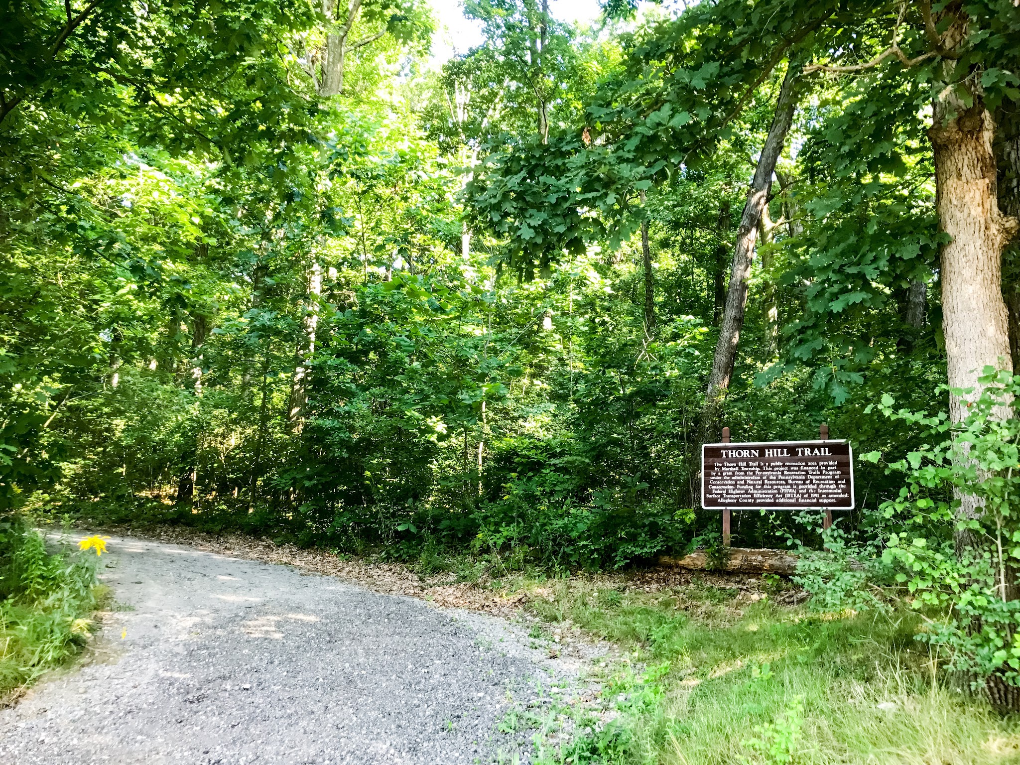 Knob Hill Community Park - Wexford, PA