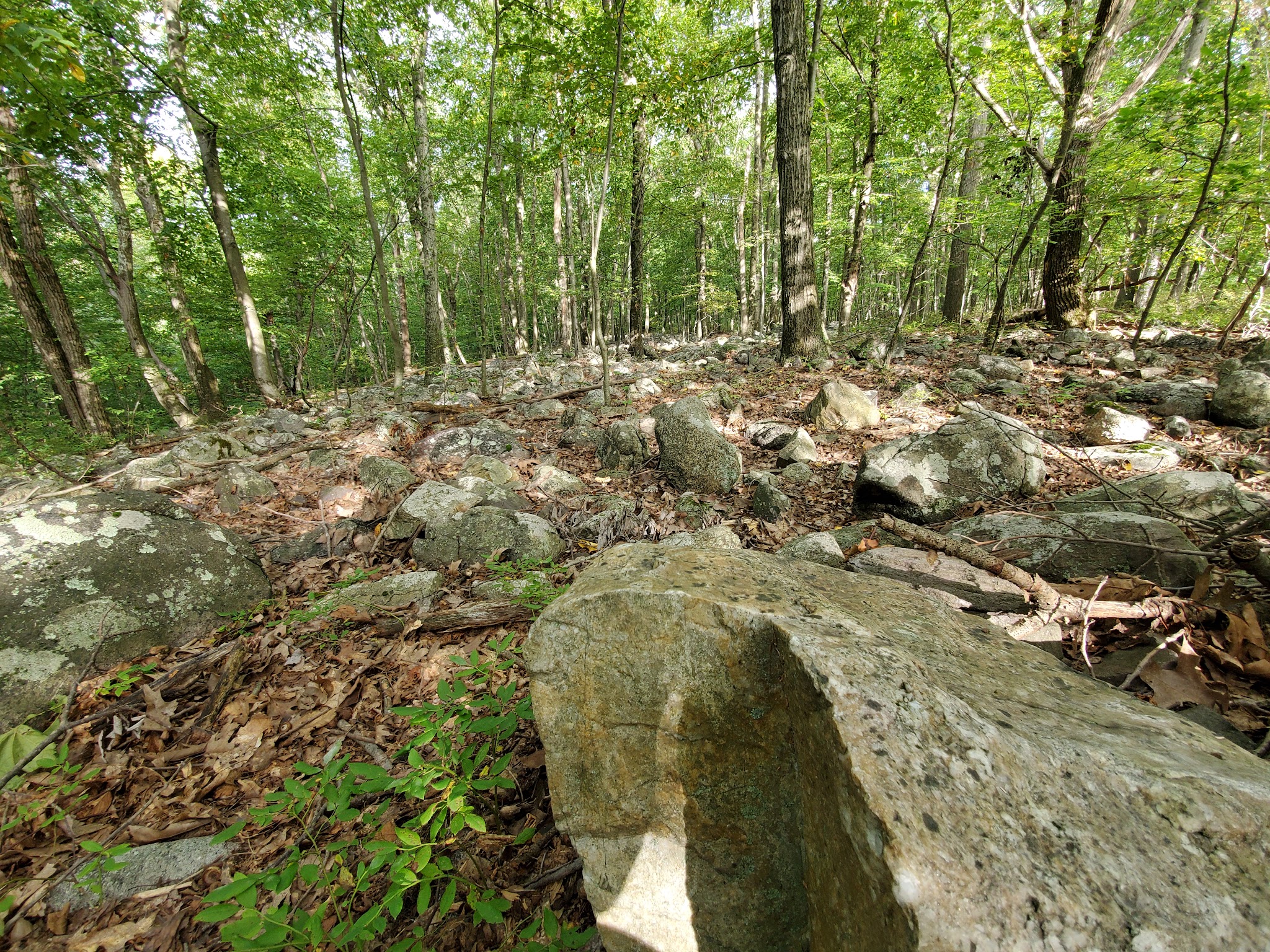Mount Hope Historical Park - Wharton, NJ