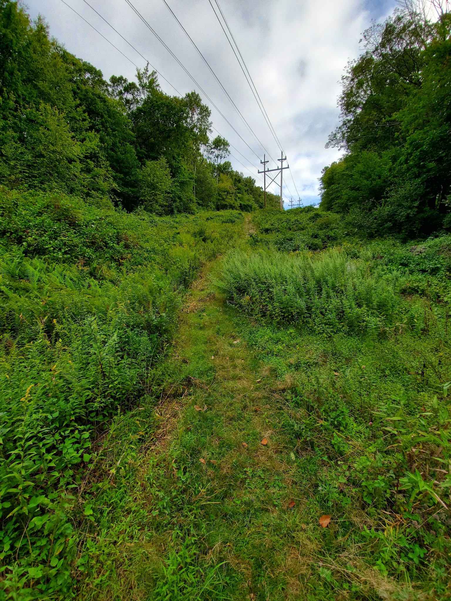 Mount Hope Historical Park - Wharton, NJ