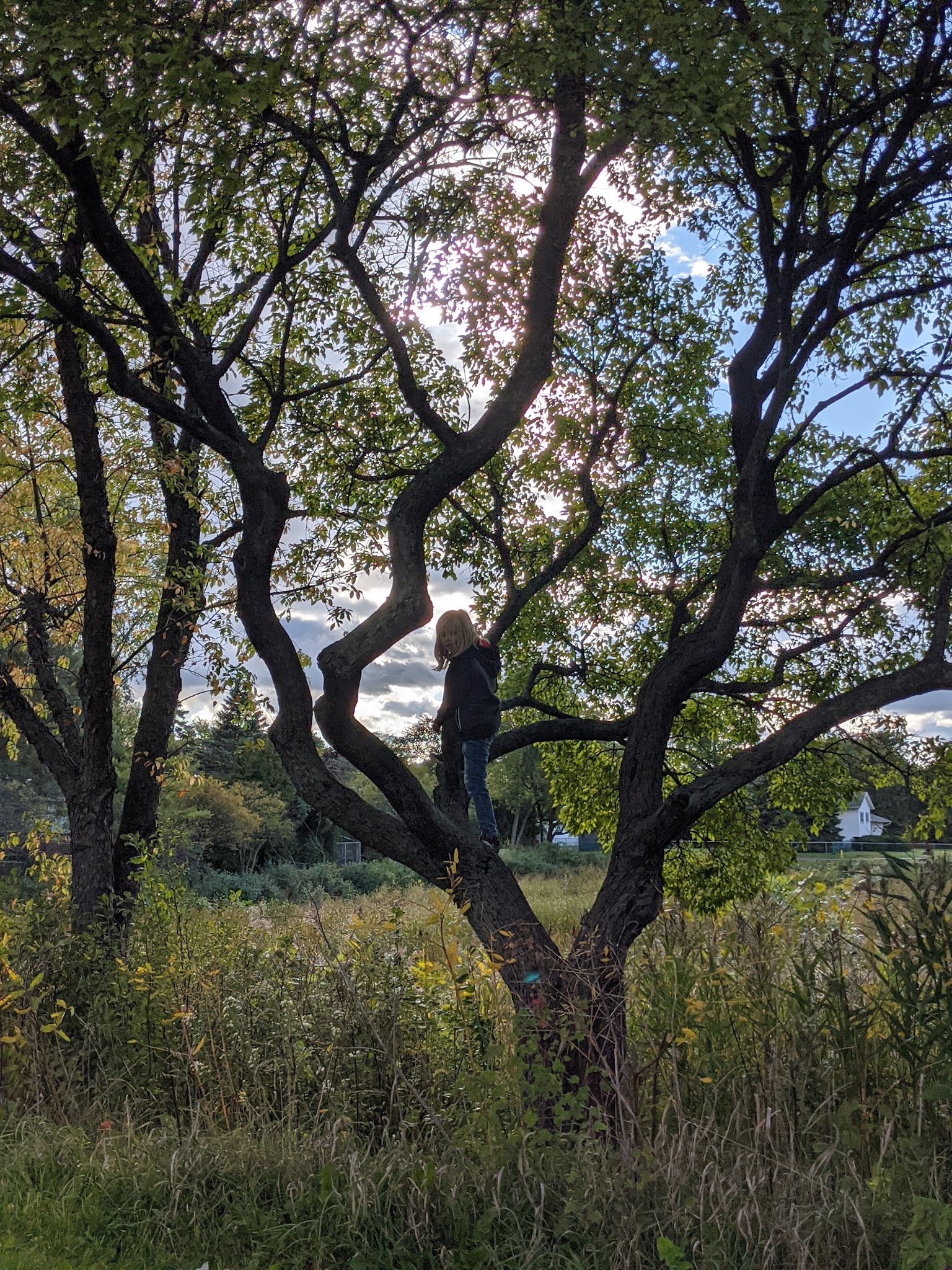 Husky Park - Wheeling, IL