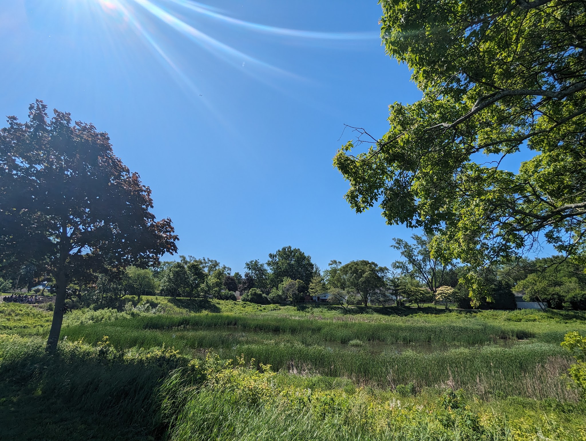 Husky Park - Wheeling, IL