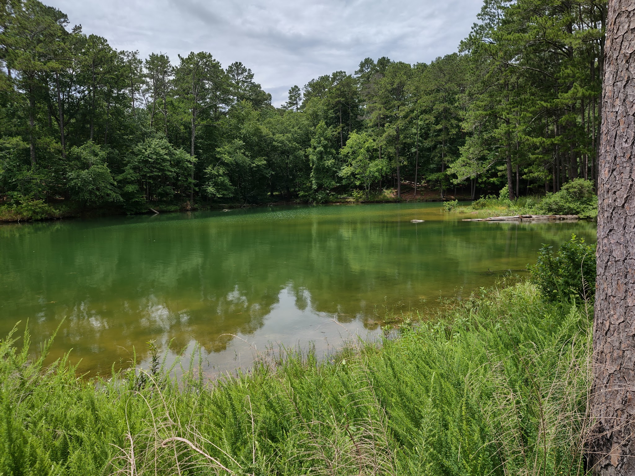 Stamp Creek Day Use Area - White, GA