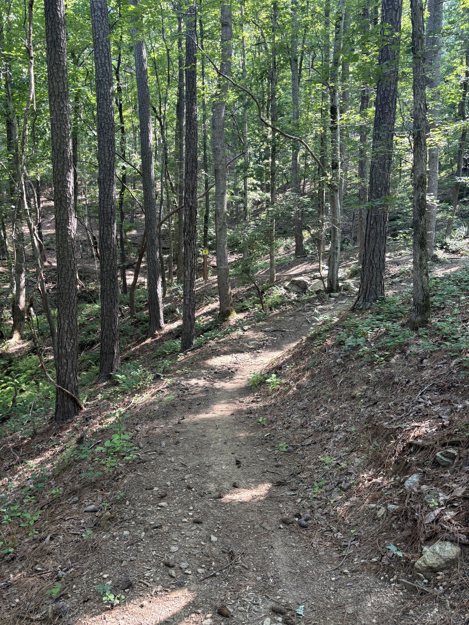 Wilderness Camp Trail System - White, GA