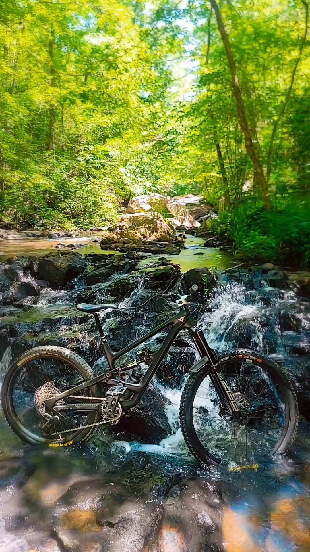 Wilderness Camp Trail System - White, GA
