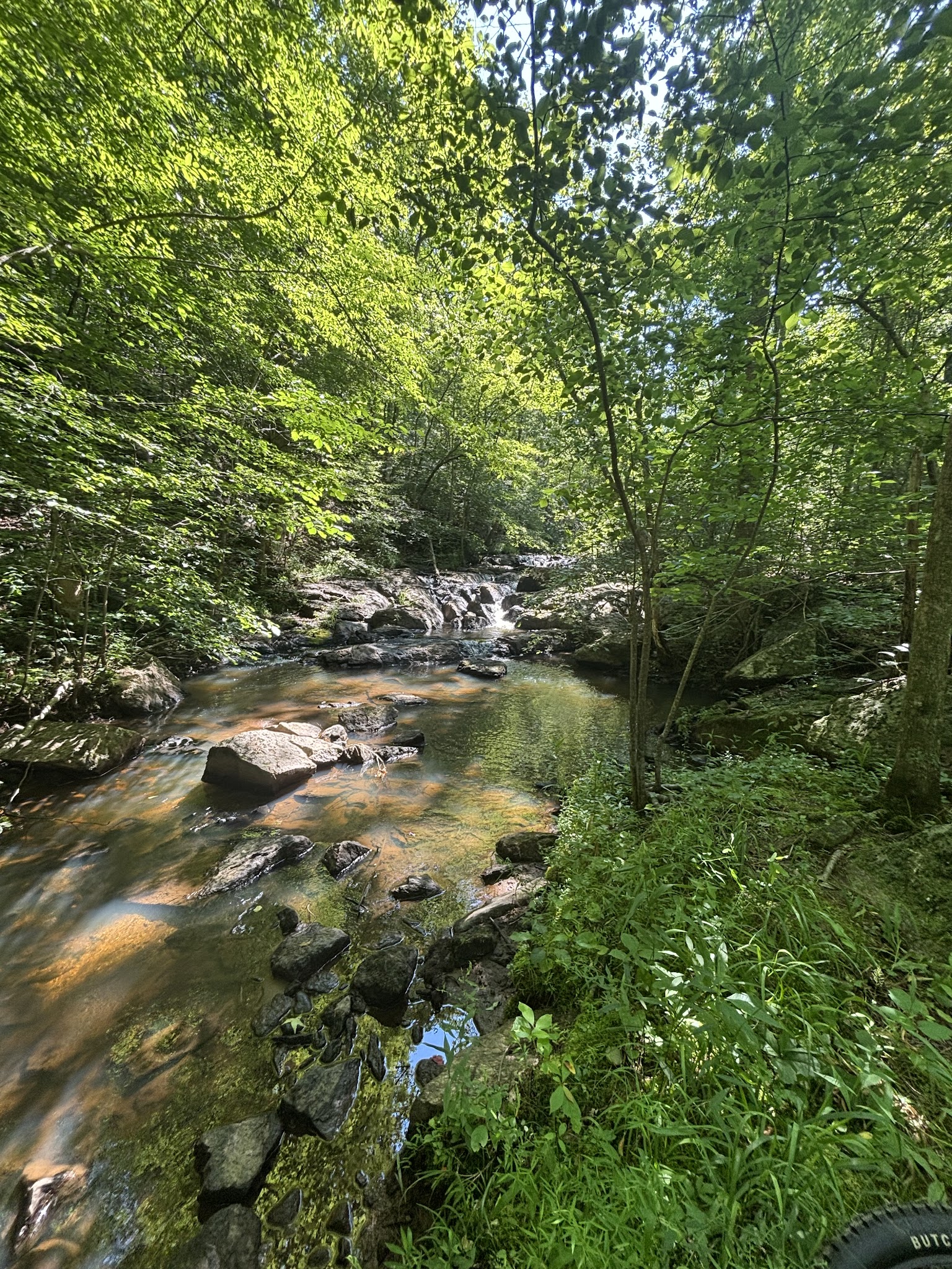 Wilderness Camp Trail System - White, GA