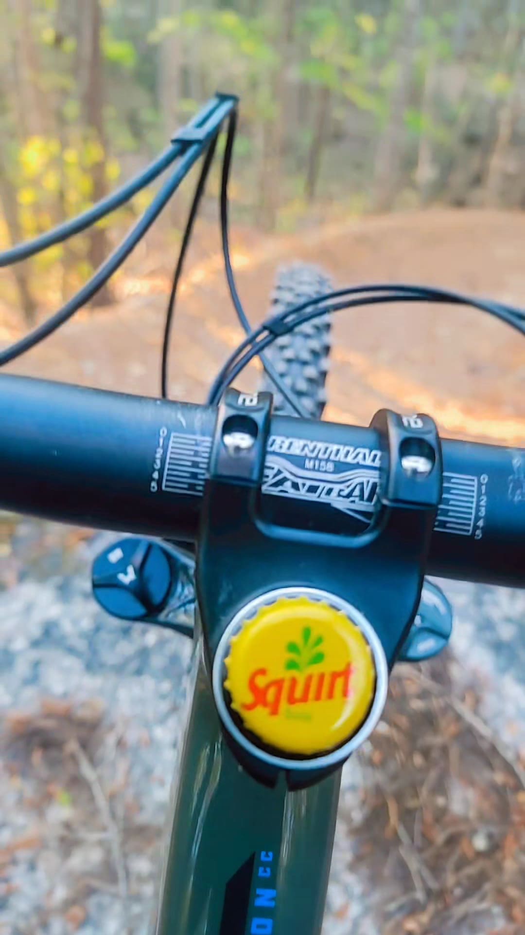 Wilderness Camp Trail System - White, GA