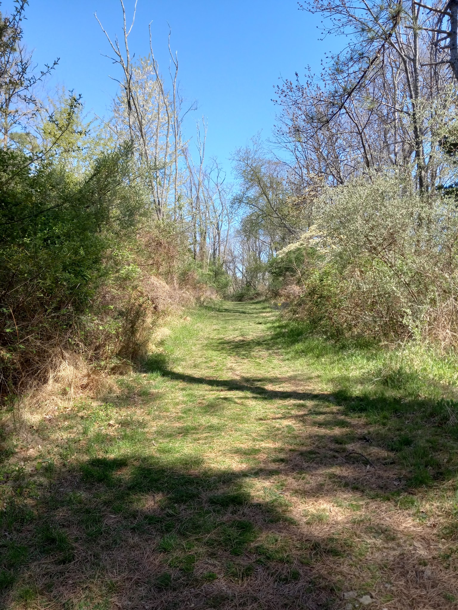 Pickell Park - White House Station, NJ