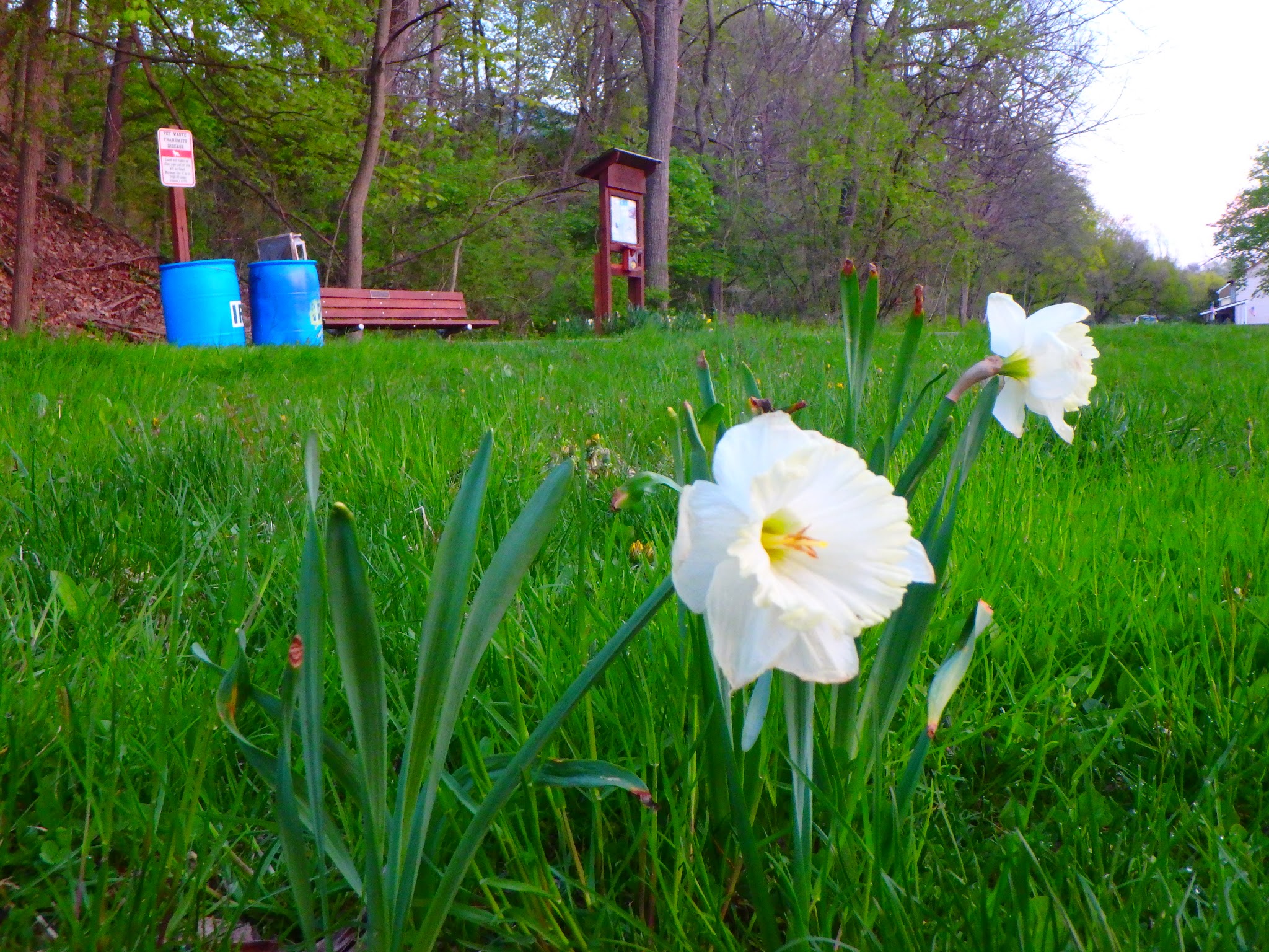 Ironton Rail Trail, Water Street parking Area - Whitehall Township, PA