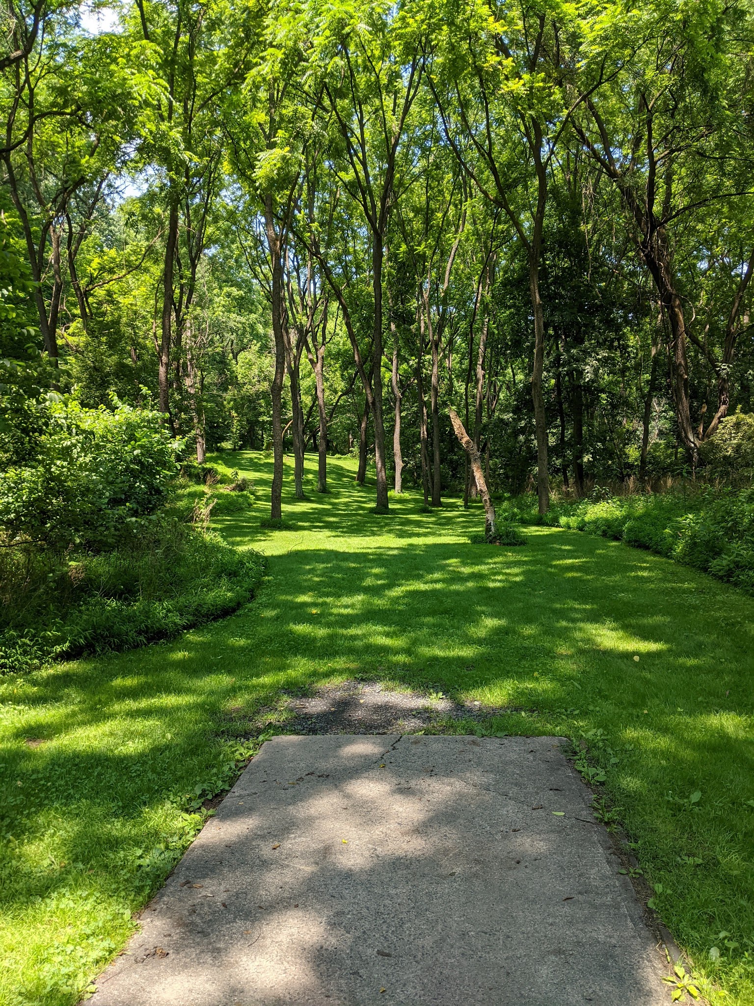 Jordan Creek Disc Golf Course - Whitehall Township, PA