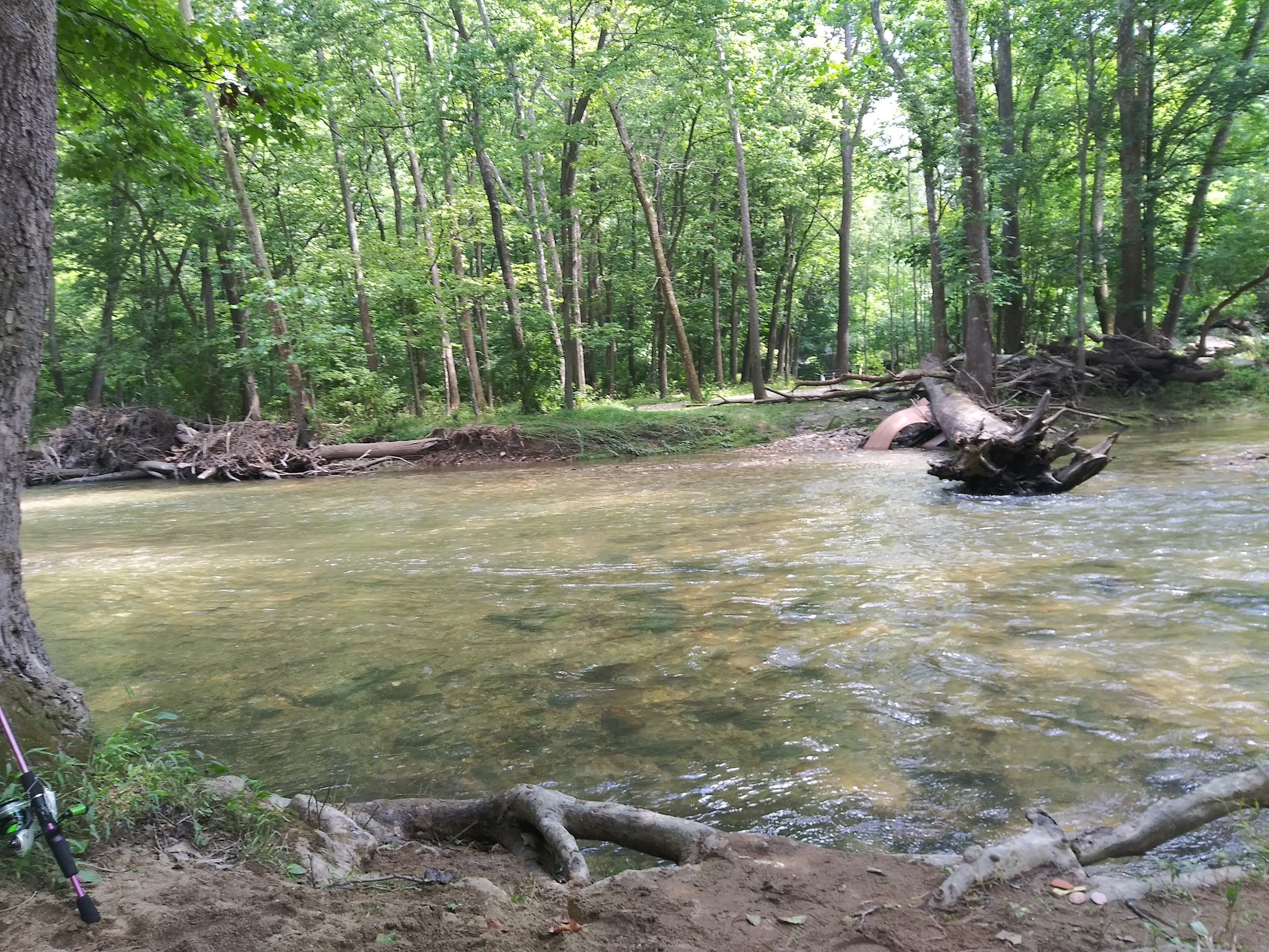 Jordan Creek Disc Golf Course - Whitehall Township, PA