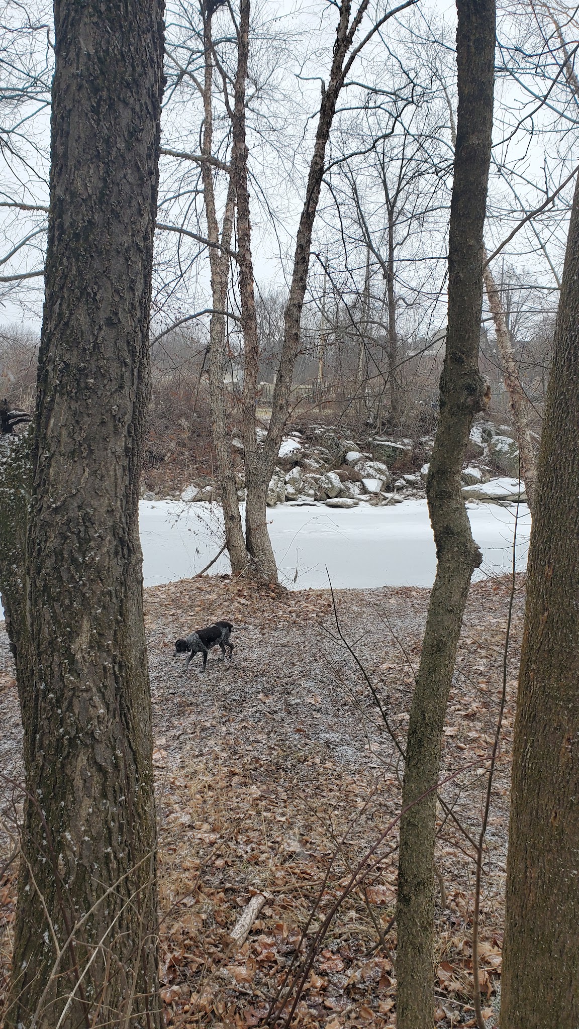 Jordan Creek Parkway - Whitehall Township, PA