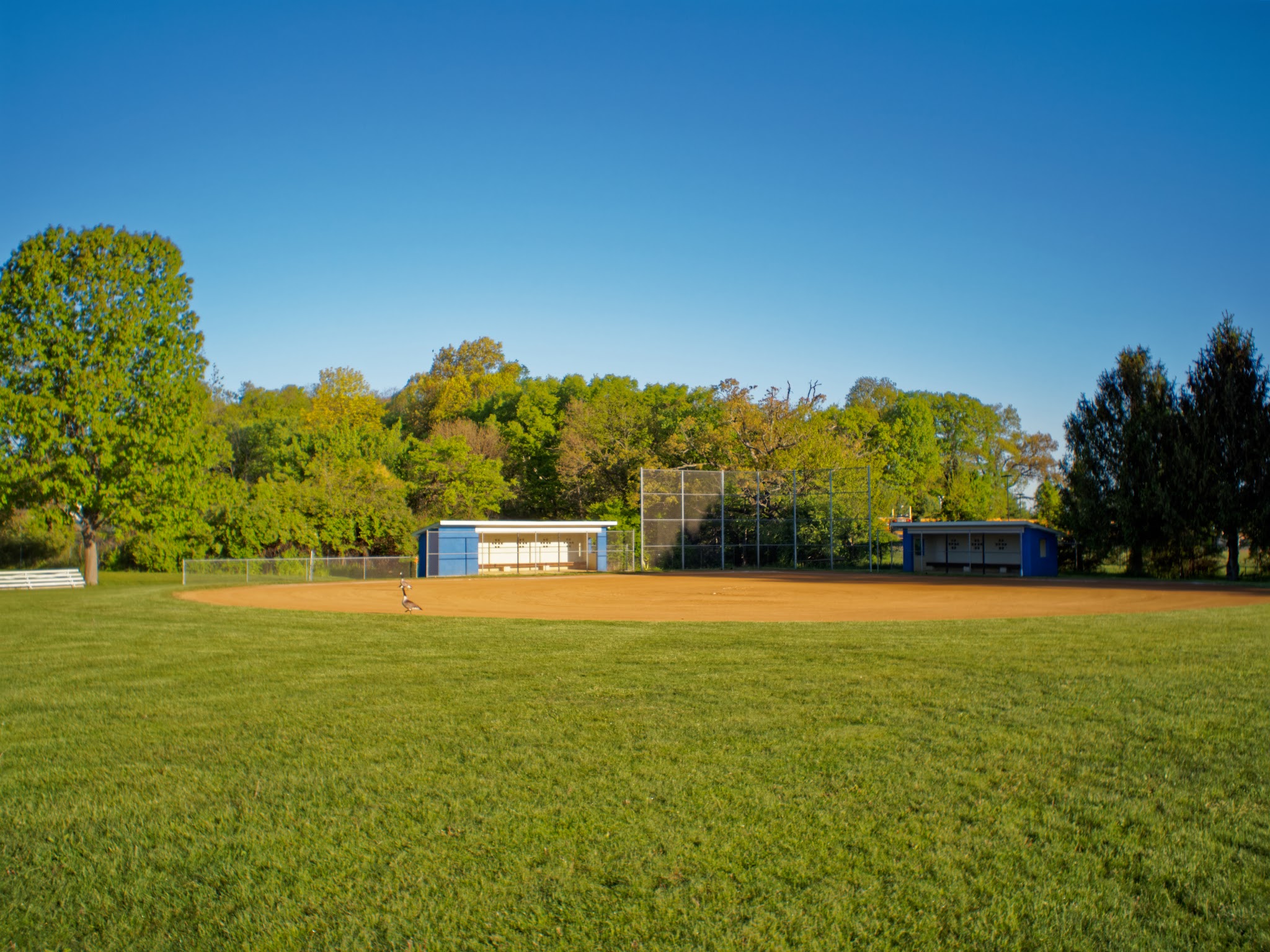 Schadt Avenue Park - Whitehall Township, PA