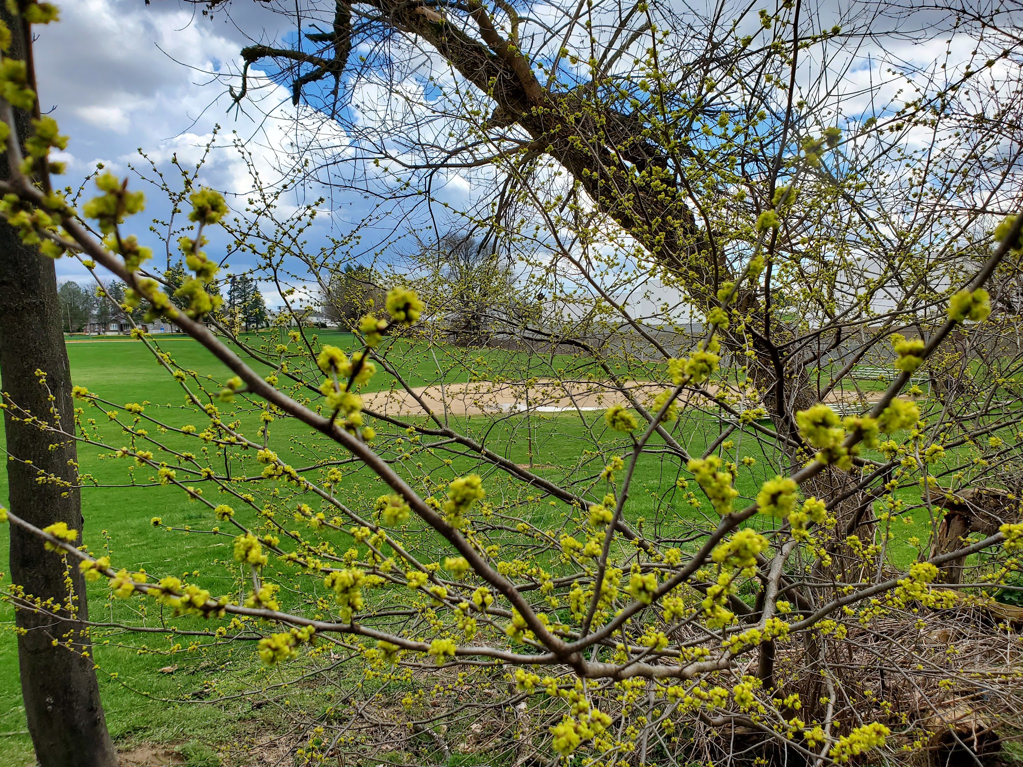 West Catasauqua Playground - Whitehall Township, PA