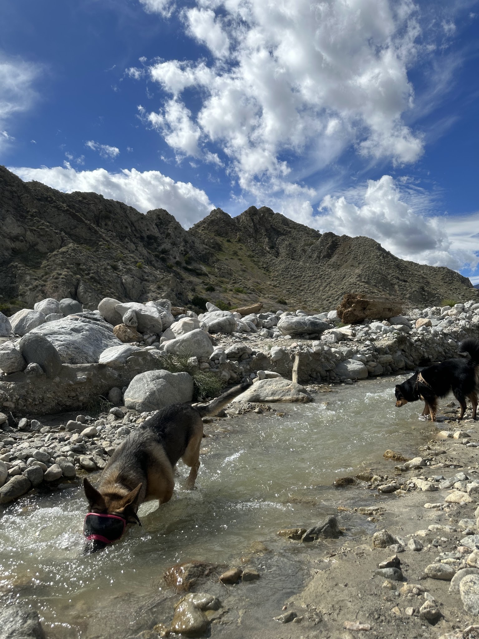 Mission Creek Shelter - Whitewater, CA