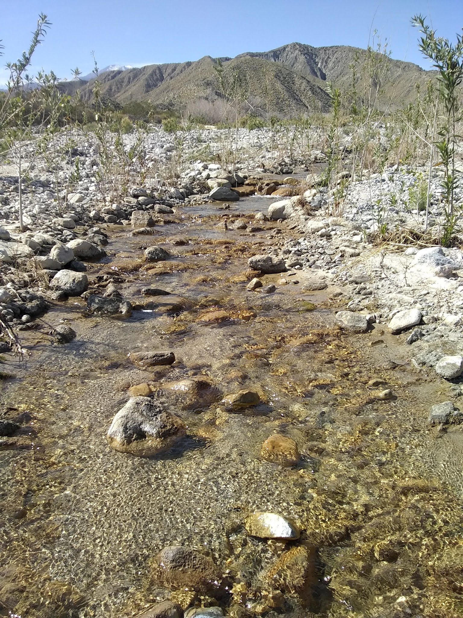 Mission Creek Shelter - Whitewater, CA