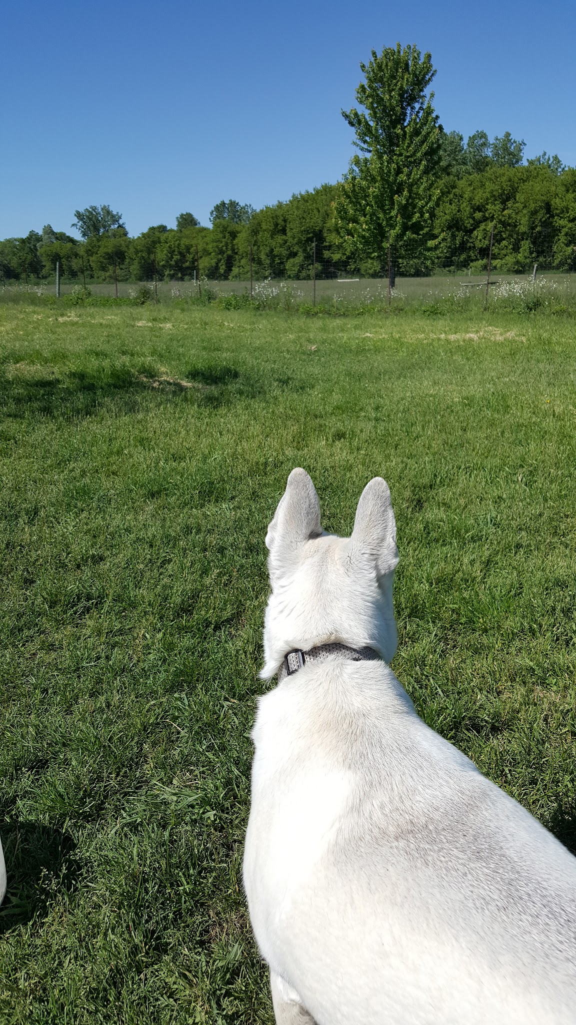 Whitewater Bark Park - Whitewater, WI